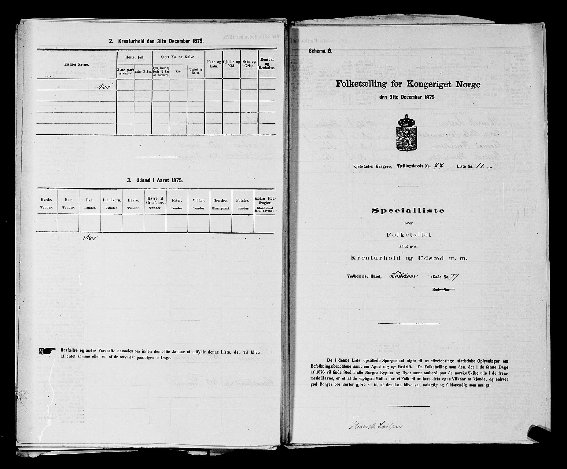 SAKO, 1875 census for 0801P Kragerø, 1875, p. 984