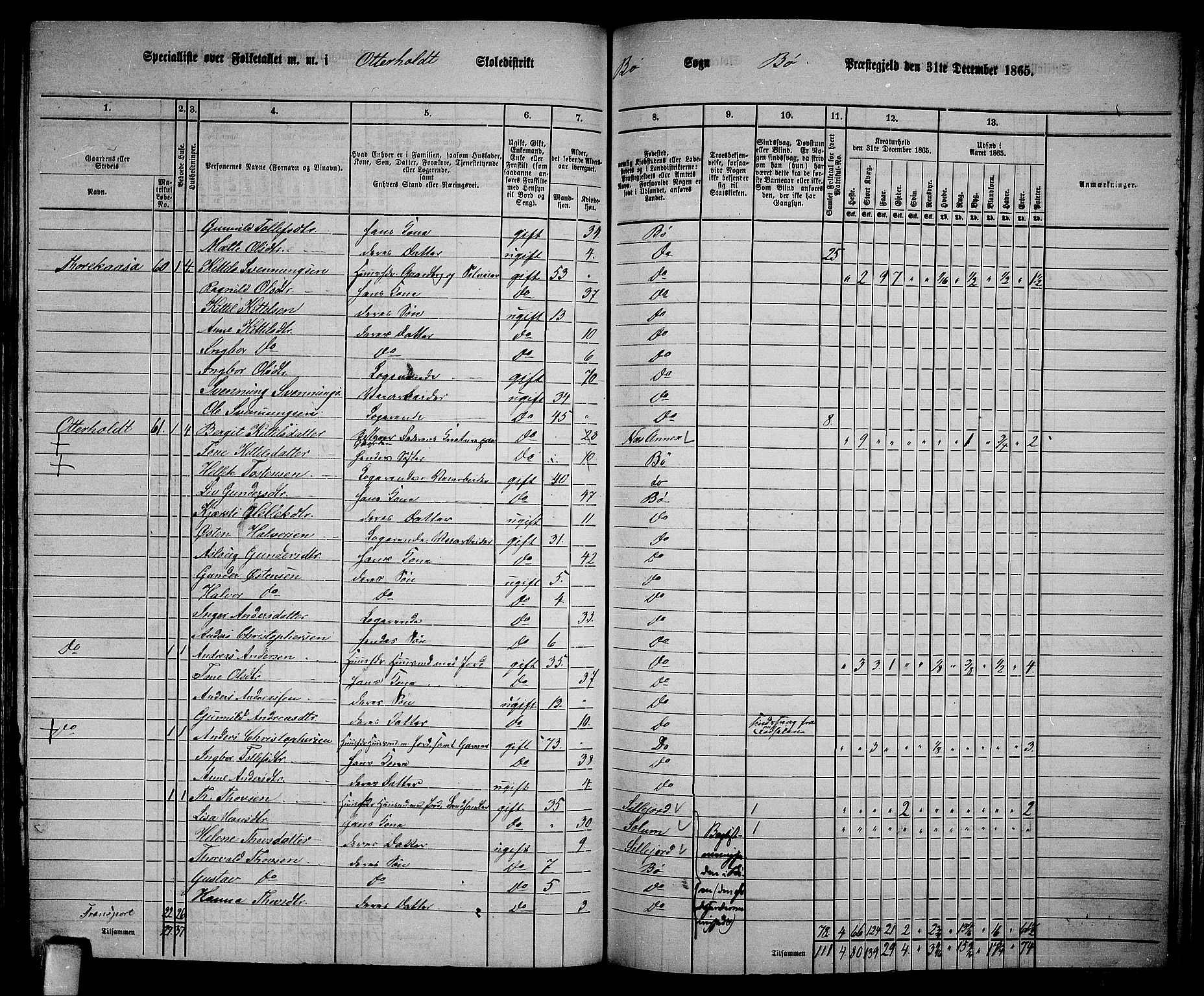 RA, 1865 census for Bø, 1865, p. 163