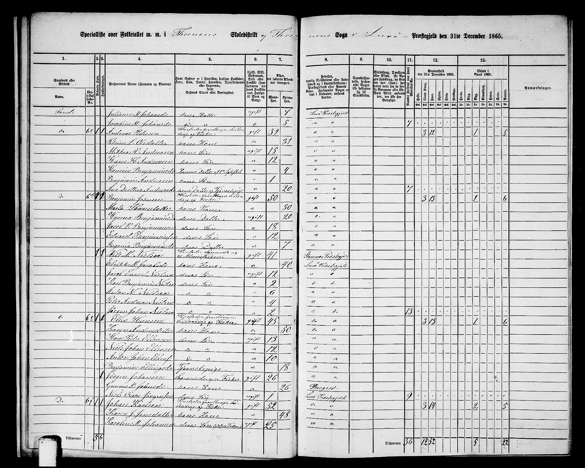 RA, 1865 census for Lurøy, 1865, p. 15