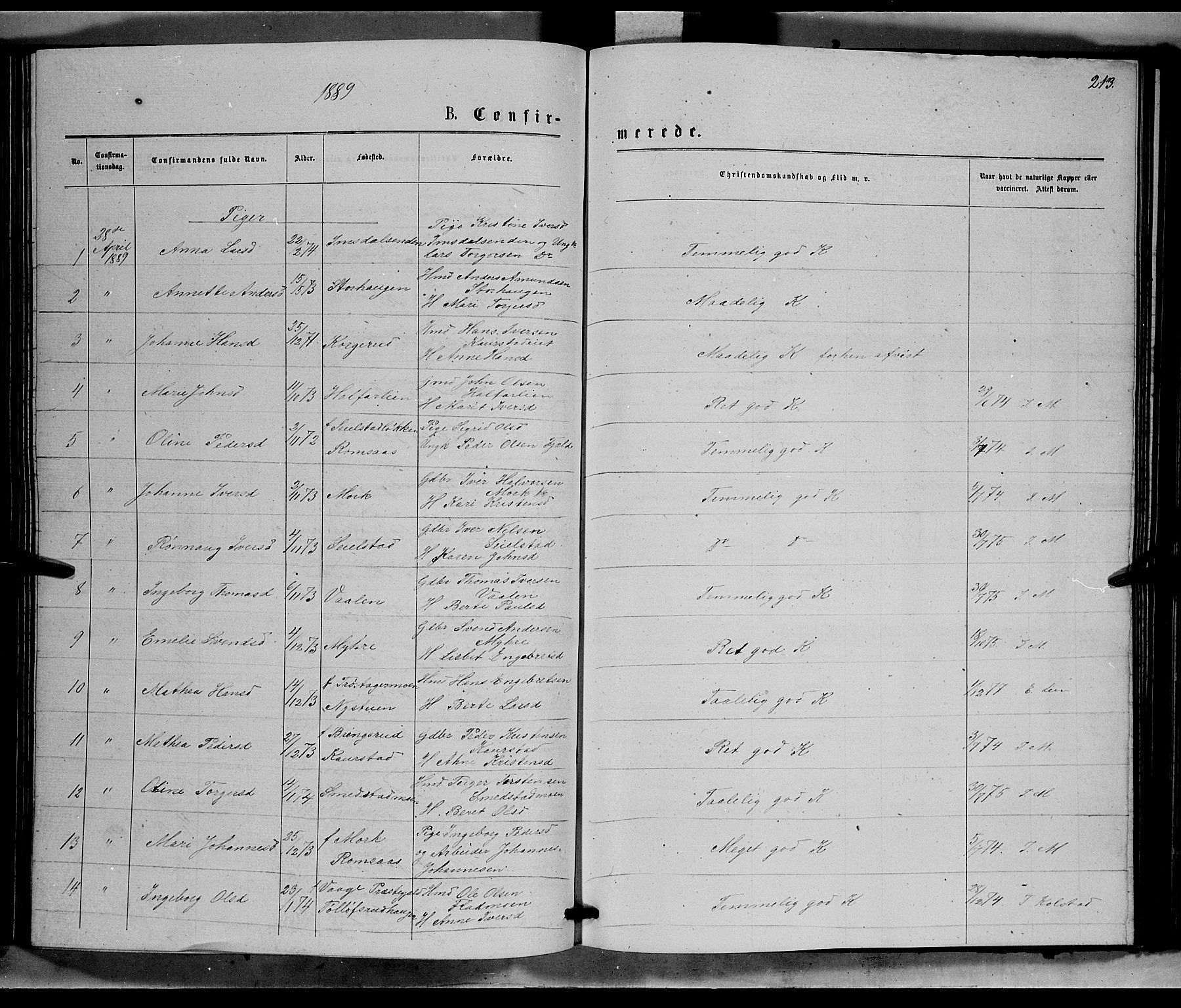 Ringebu prestekontor, SAH/PREST-082/H/Ha/Hab/L0006: Parish register (copy) no. 6, 1880-1898, p. 213