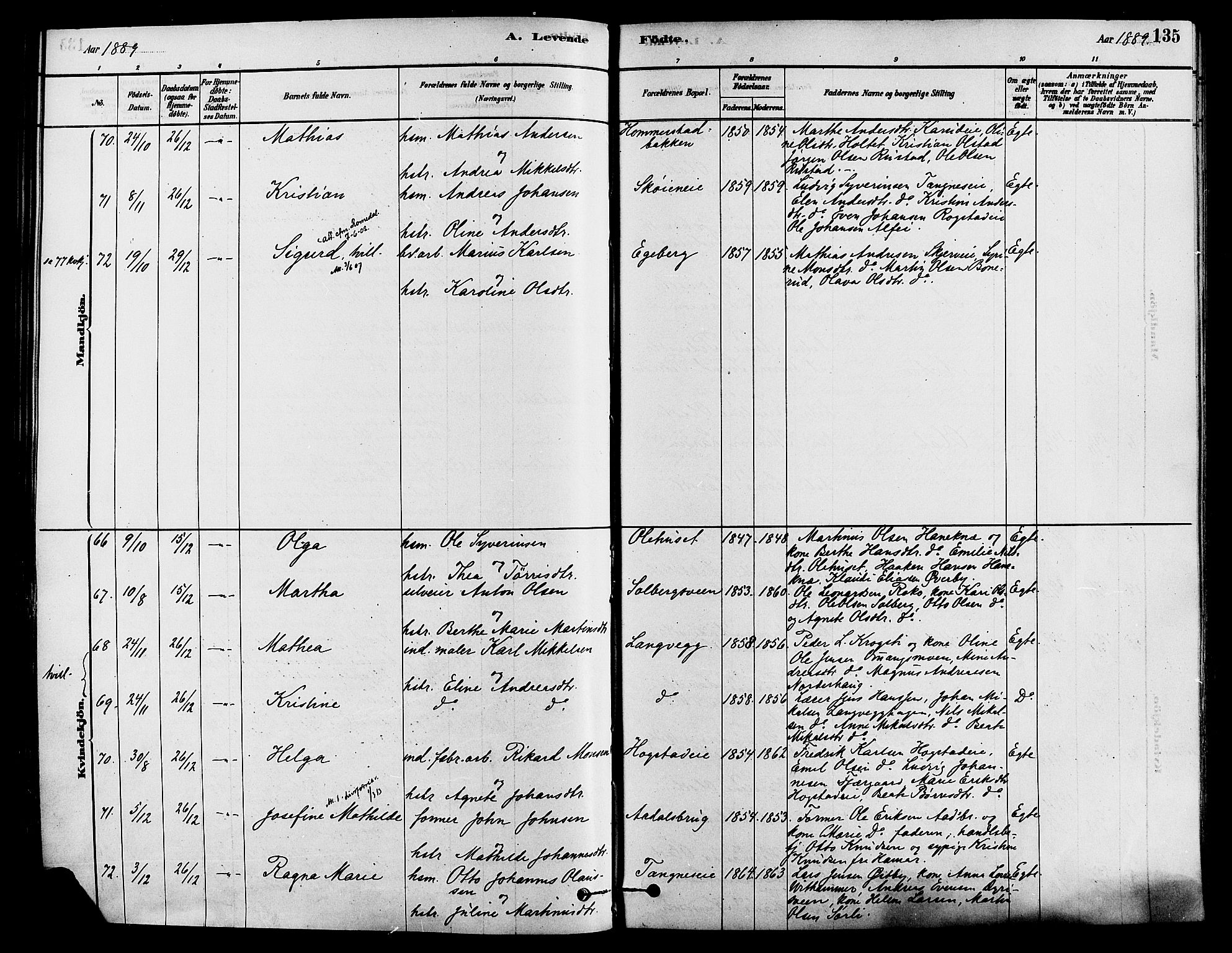 Løten prestekontor, AV/SAH-PREST-022/K/Ka/L0009: Parish register (official) no. 9, 1878-1891, p. 135