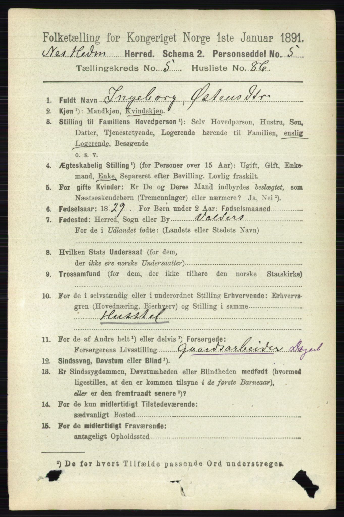 RA, 1891 census for 0411 Nes, 1891, p. 3166