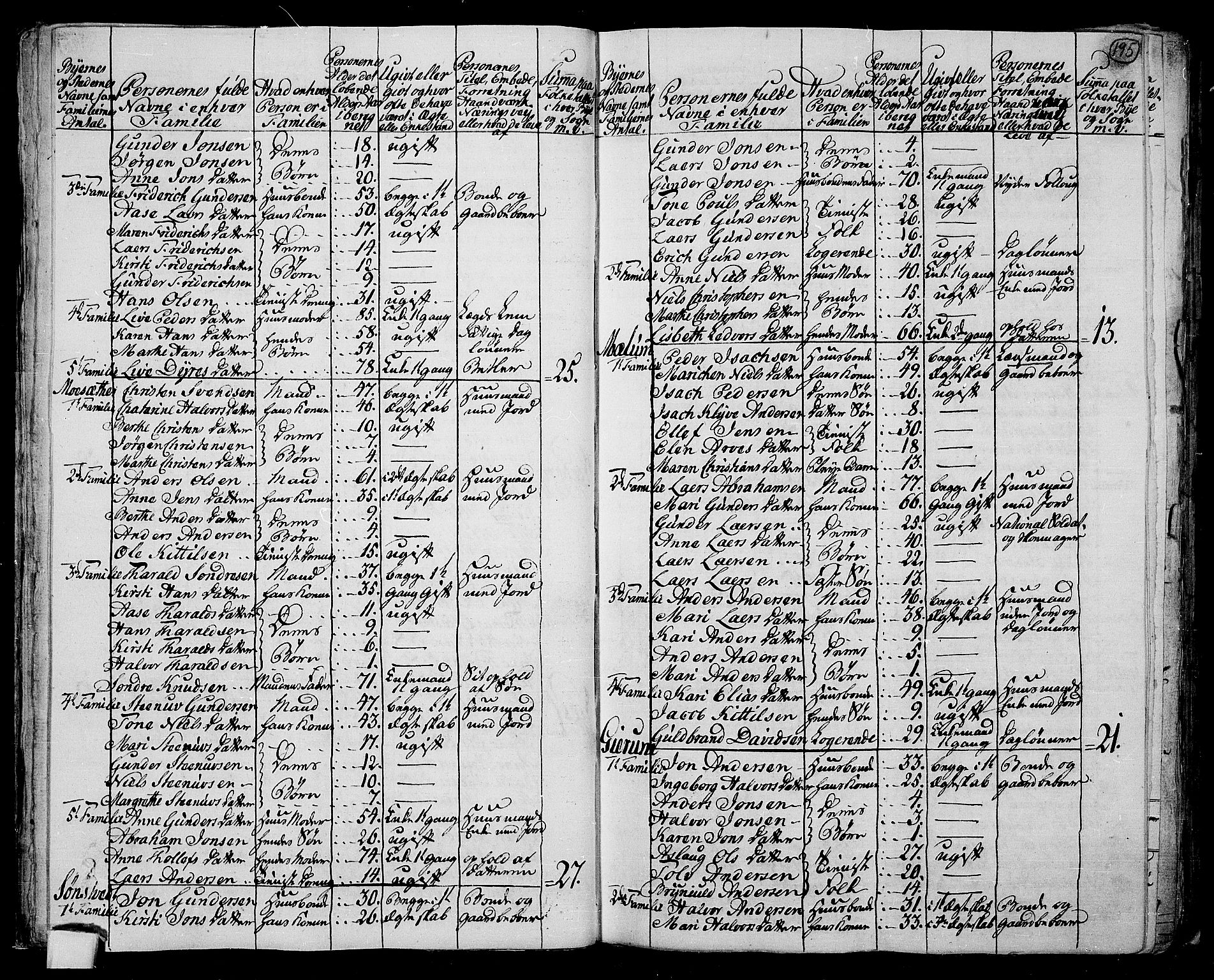 RA, 1801 census for 0818P Solum, 1801, p. 194b-195a