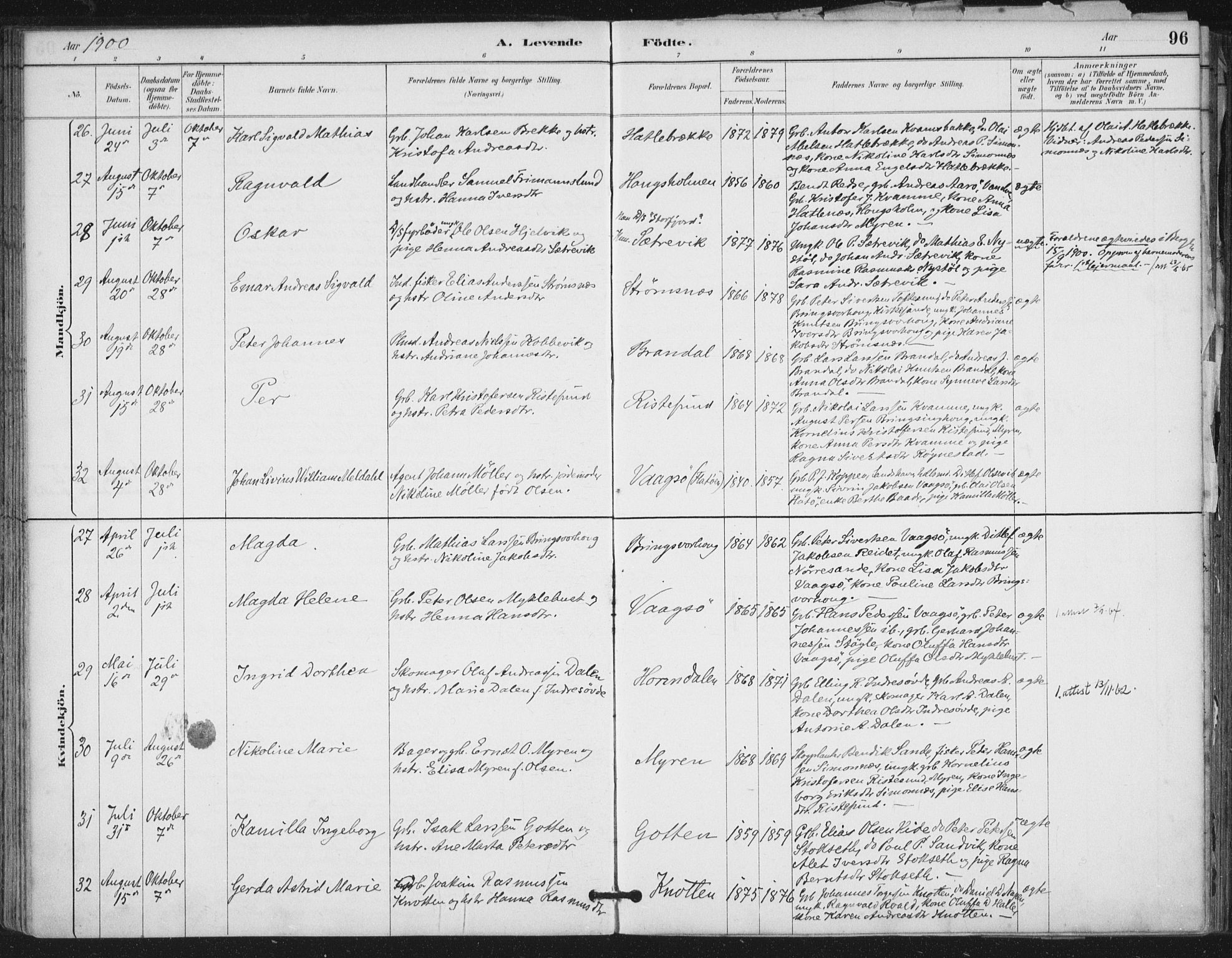 Ministerialprotokoller, klokkerbøker og fødselsregistre - Møre og Romsdal, SAT/A-1454/503/L0037: Parish register (official) no. 503A05, 1884-1900, p. 96