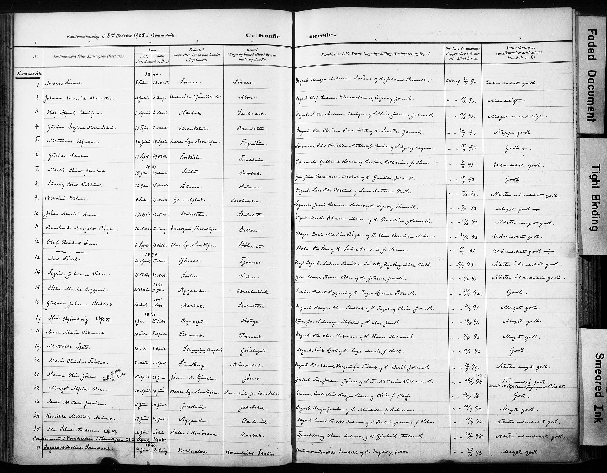 Ministerialprotokoller, klokkerbøker og fødselsregistre - Sør-Trøndelag, AV/SAT-A-1456/616/L0411: Parish register (official) no. 616A08, 1894-1906