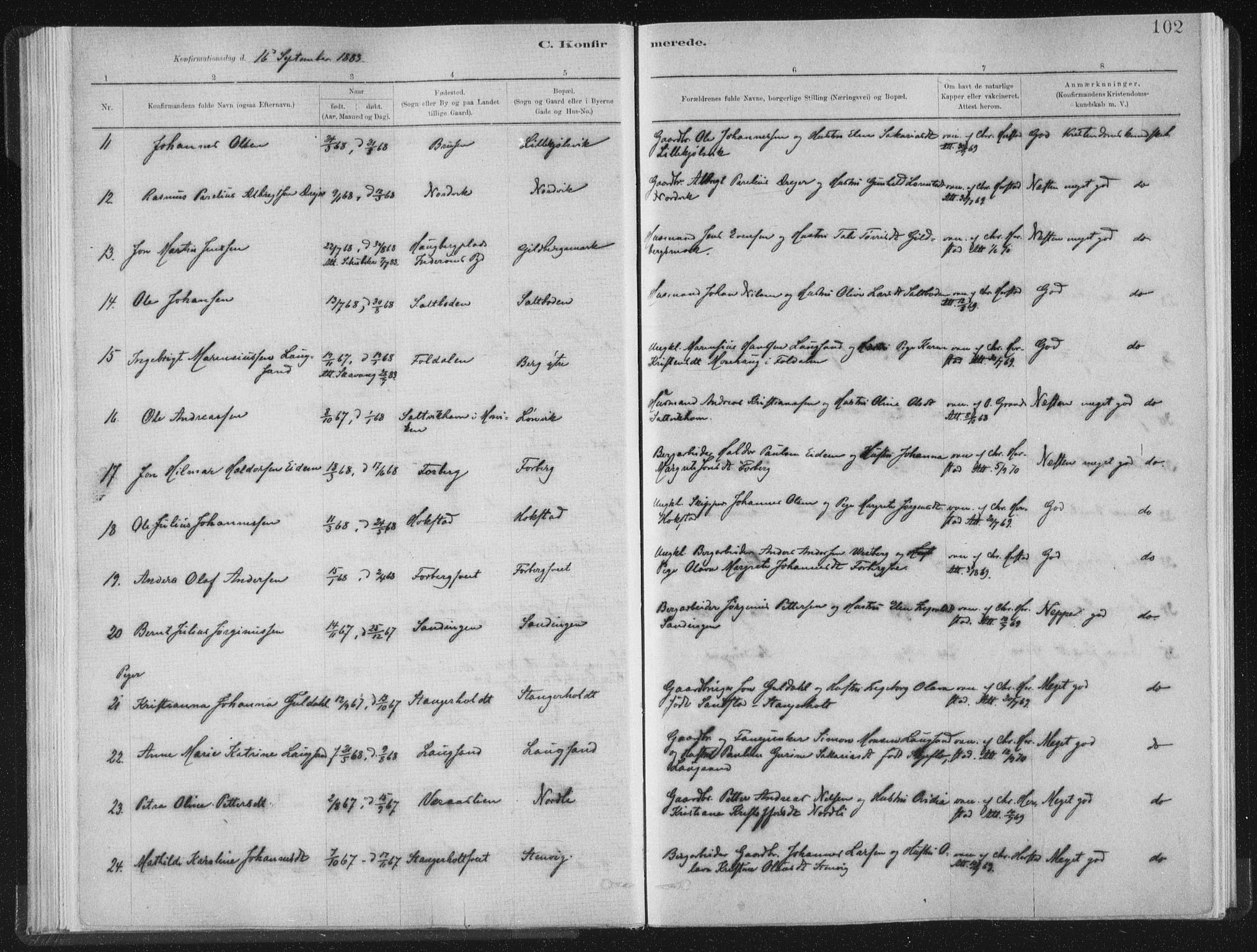 Ministerialprotokoller, klokkerbøker og fødselsregistre - Nord-Trøndelag, SAT/A-1458/722/L0220: Parish register (official) no. 722A07, 1881-1908, p. 102
