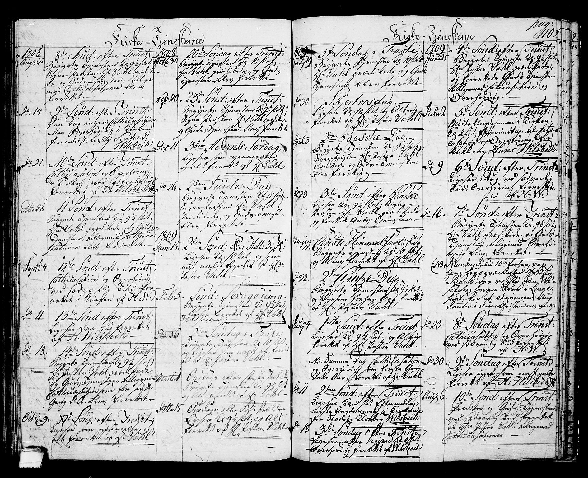 Langesund kirkebøker, SAKO/A-280/G/Ga/L0002: Parish register (copy) no. 2, 1801-1815, p. 110