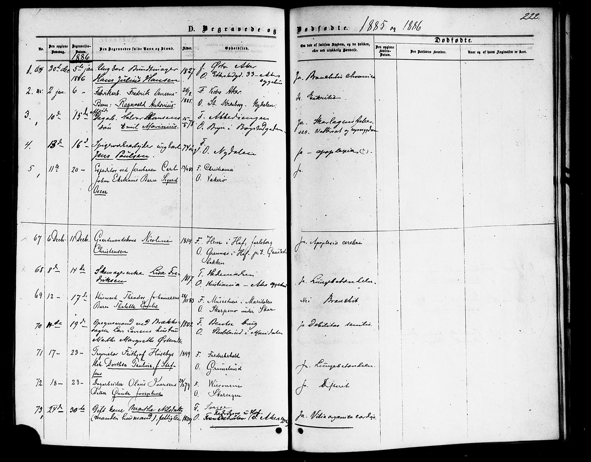 Vestre Aker prestekontor Kirkebøker, SAO/A-10025/F/Fa/L0006: Parish register (official) no. 6, 1873-1886, p. 222