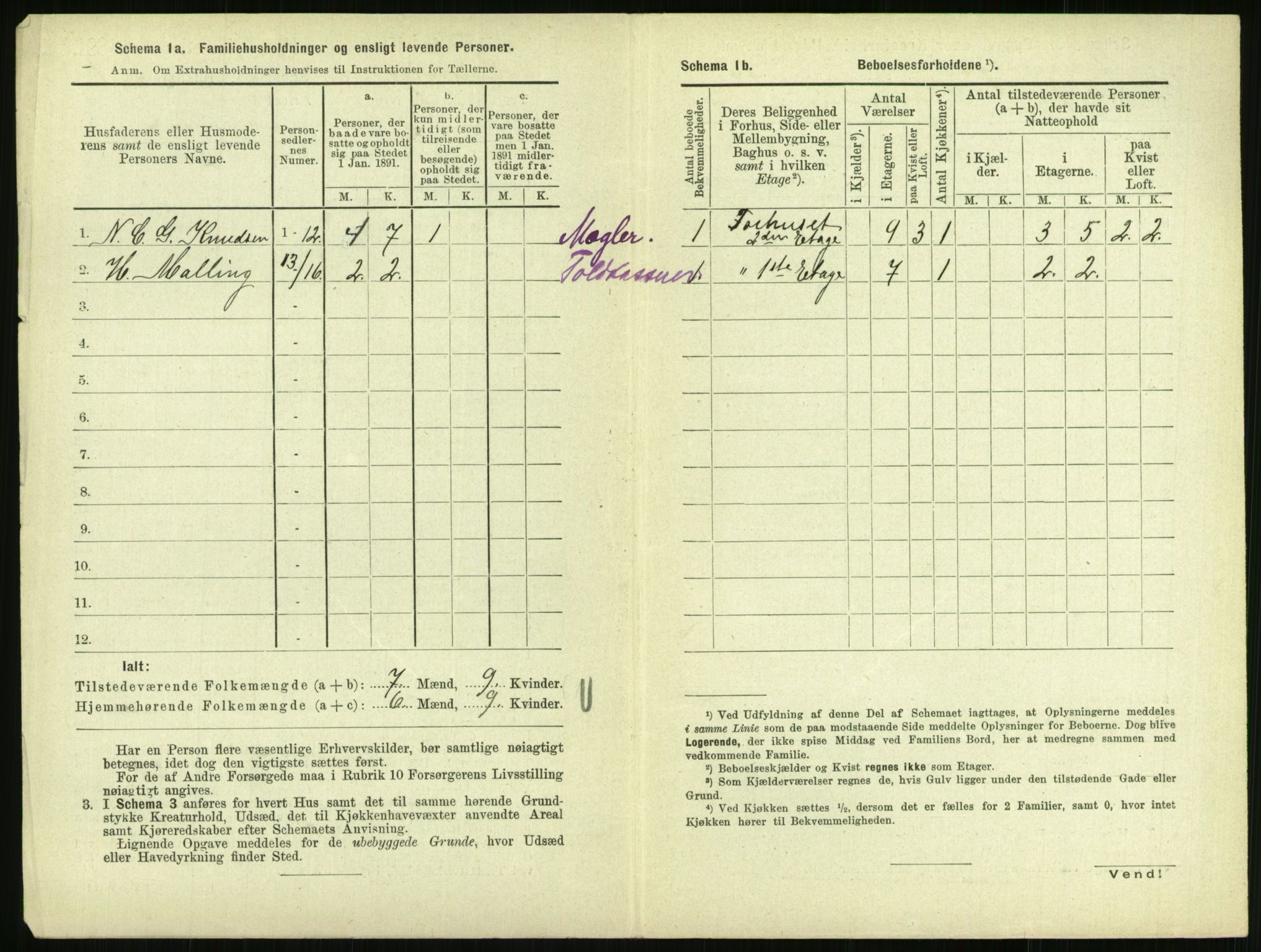 RA, 1891 census for 0707 Larvik, 1891, p. 1702