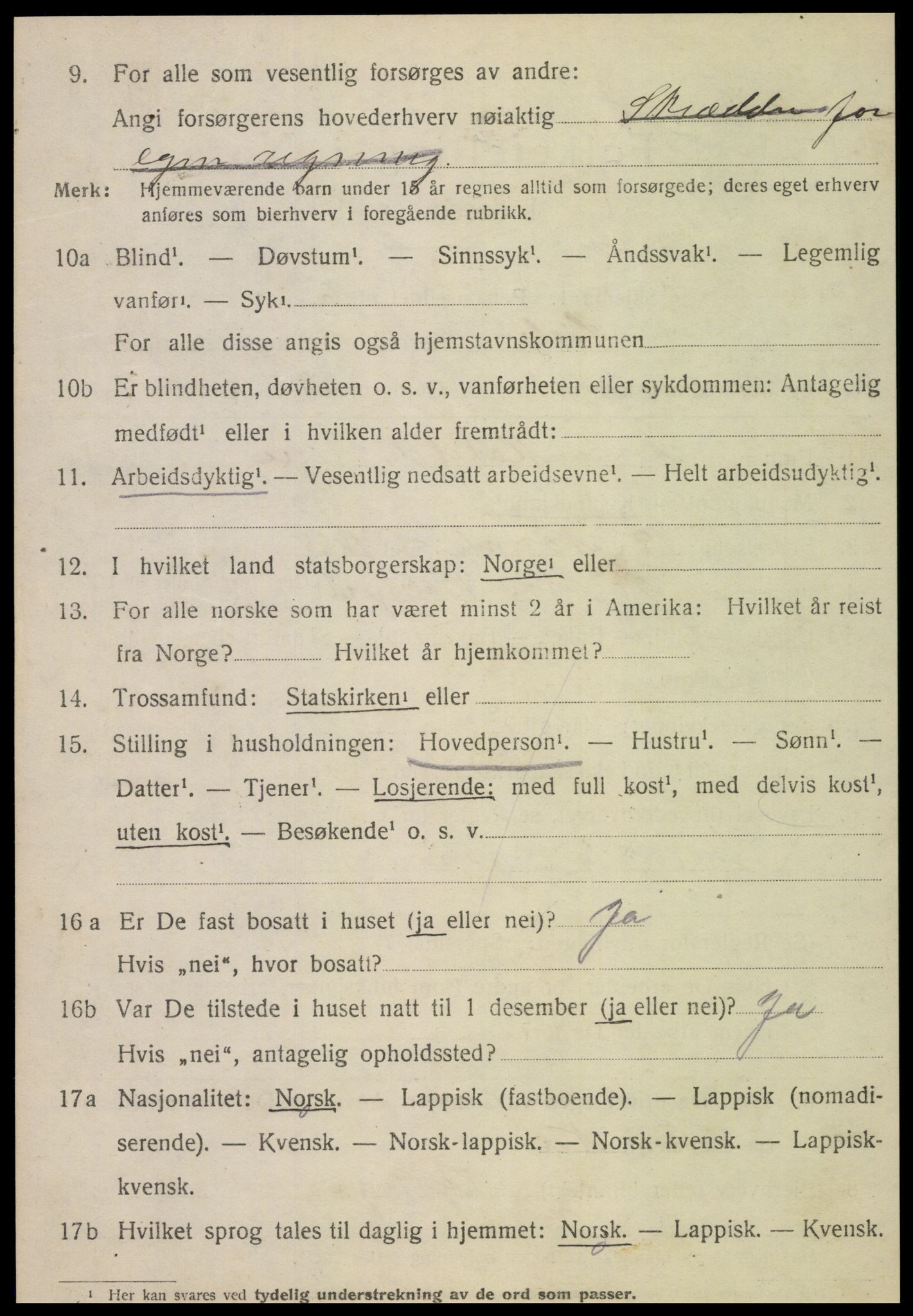 SAT, 1920 census for Sørli, 1920, p. 1074