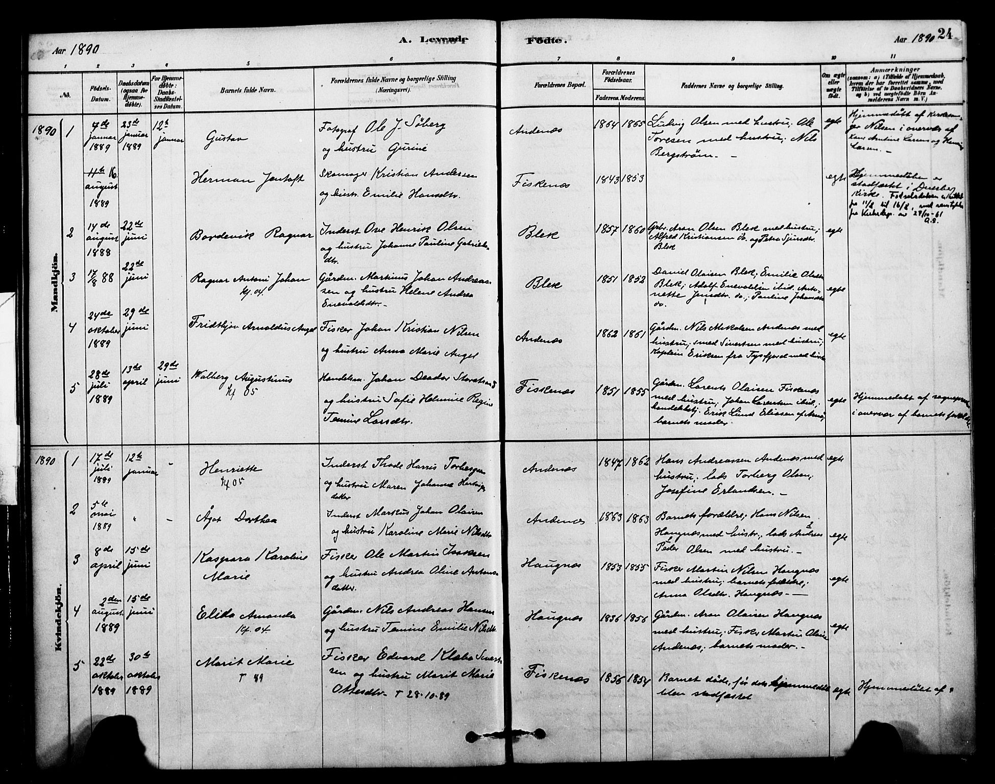Ministerialprotokoller, klokkerbøker og fødselsregistre - Nordland, SAT/A-1459/899/L1436: Parish register (official) no. 899A04, 1881-1896, p. 24