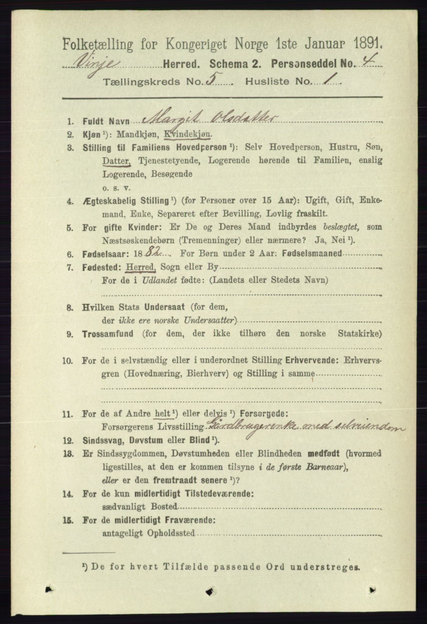 RA, 1891 census for 0834 Vinje, 1891, p. 1051