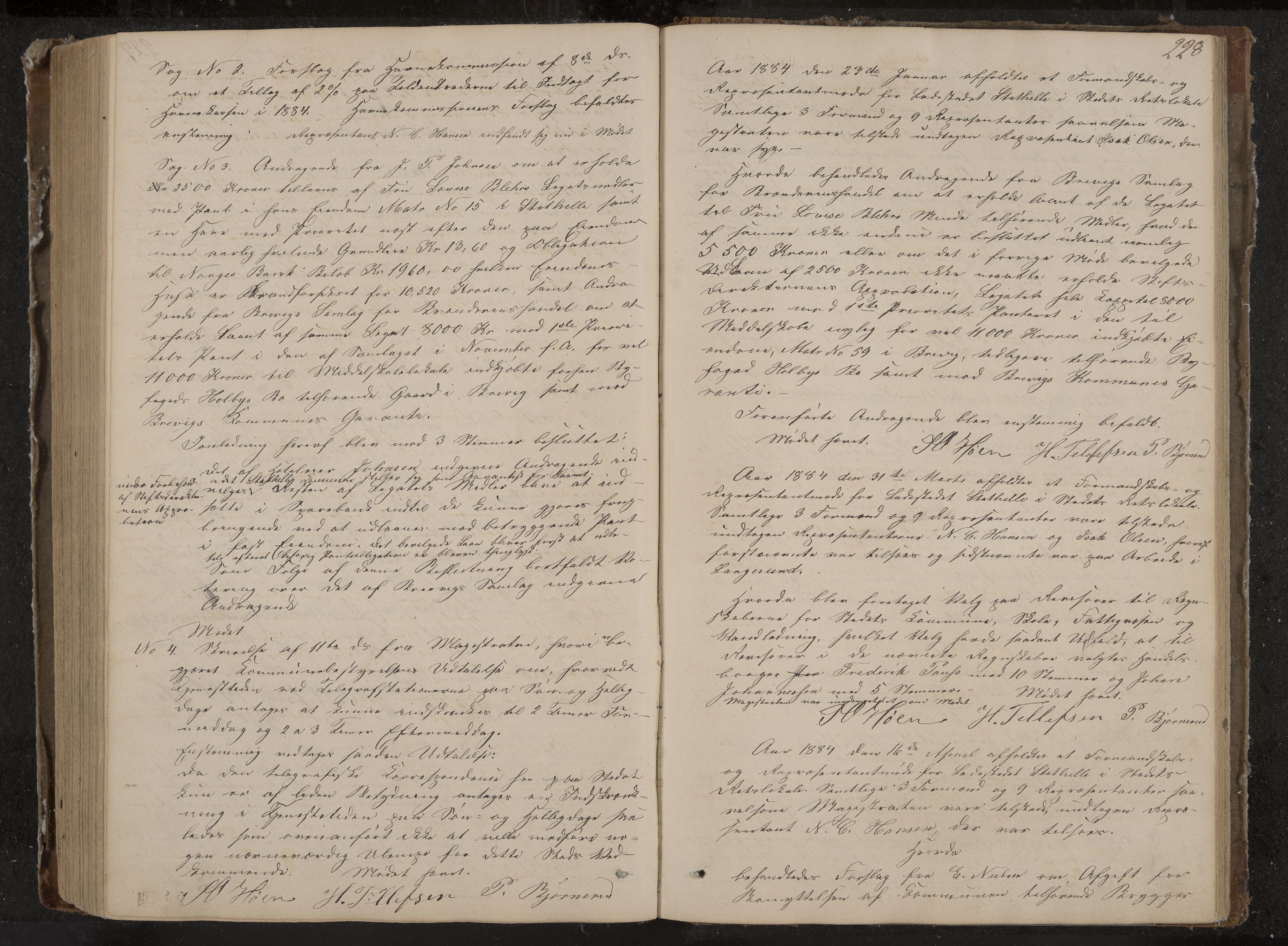 Stathelle formannskap og sentraladministrasjon, IKAK/0803021/A/L0001: Møtebok, 1852-1891, p. 228