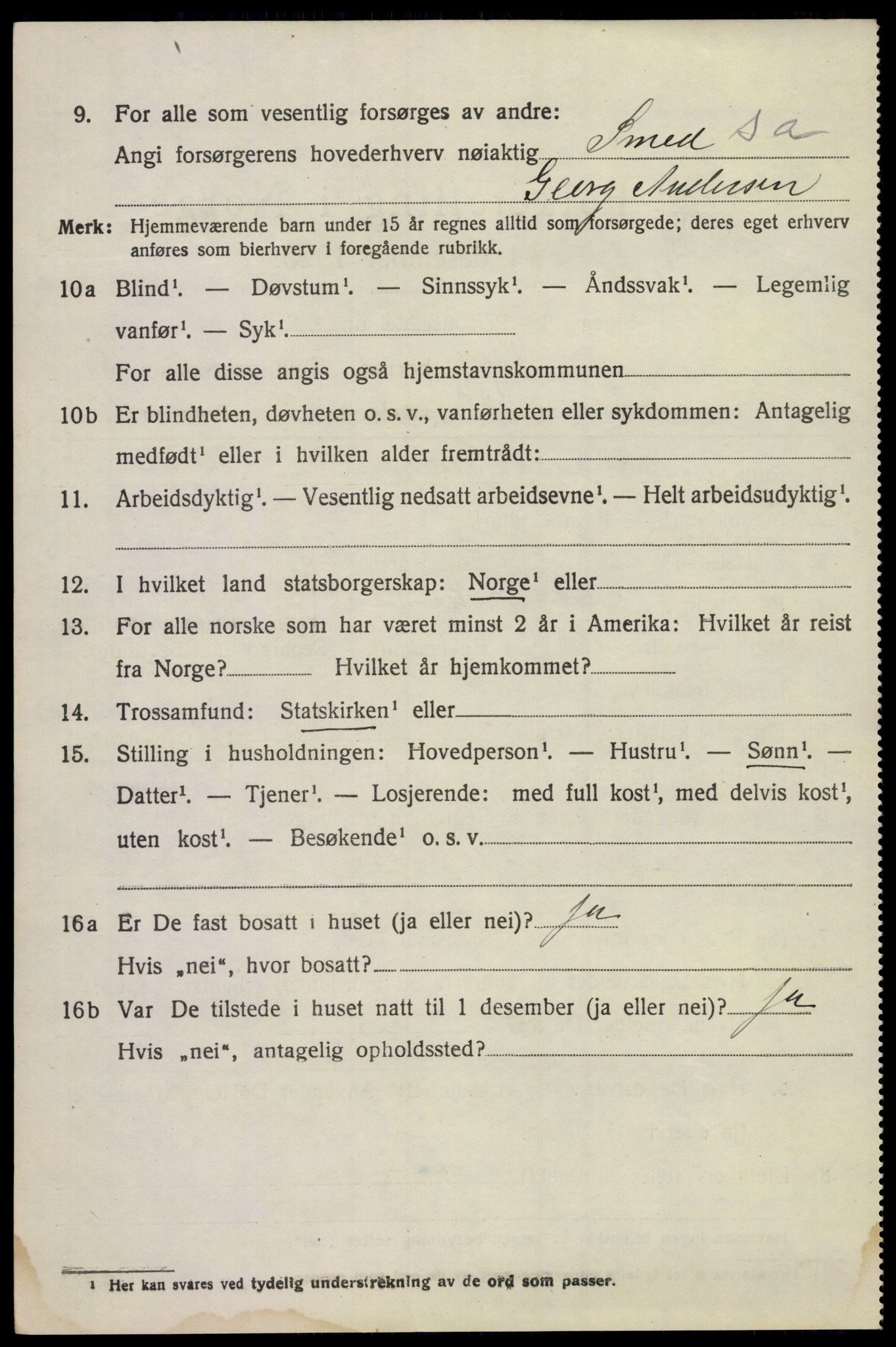 SAKO, 1920 census for Våle, 1920, p. 5035