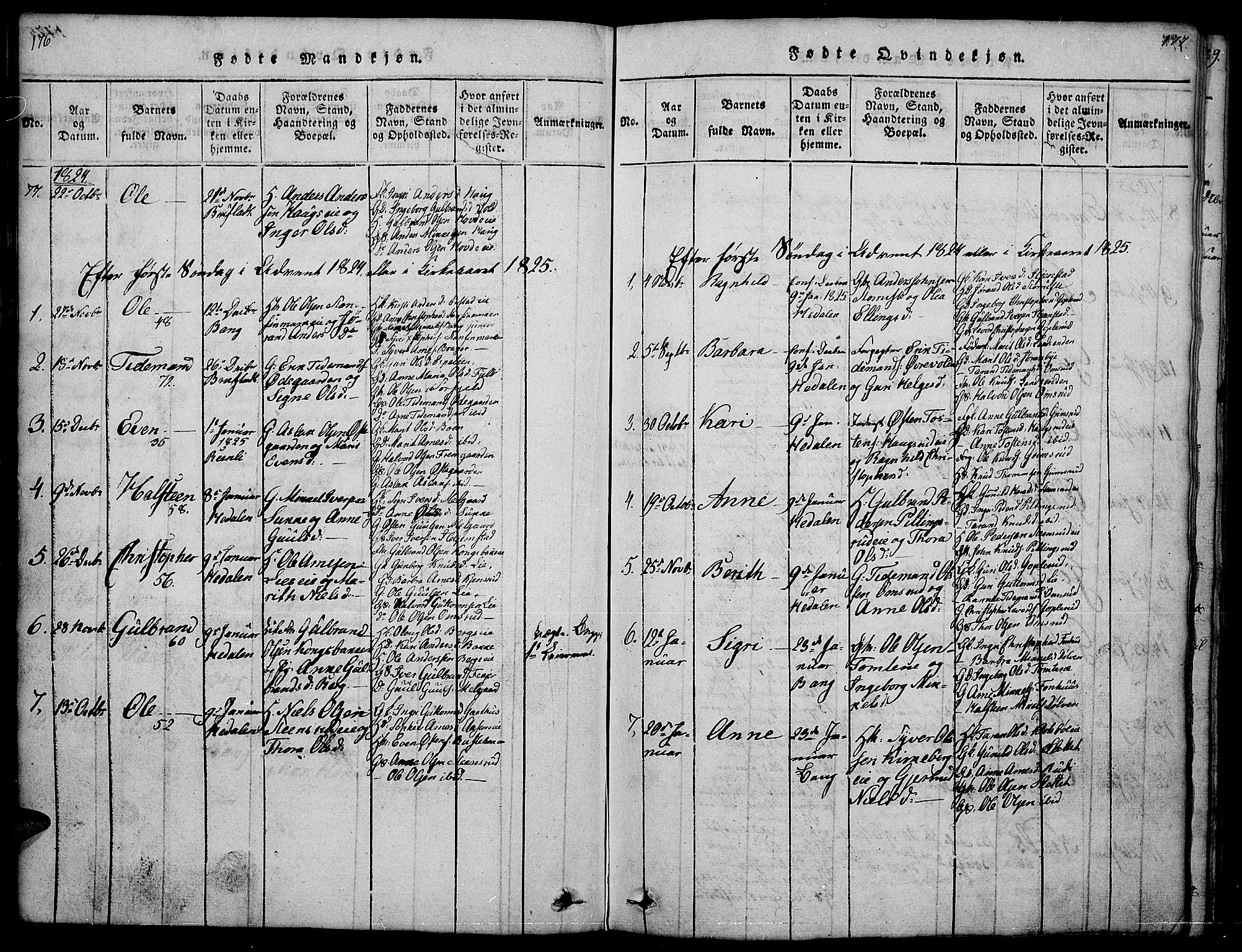 Sør-Aurdal prestekontor, SAH/PREST-128/H/Ha/Hab/L0001: Parish register (copy) no. 1, 1815-1826, p. 176-177