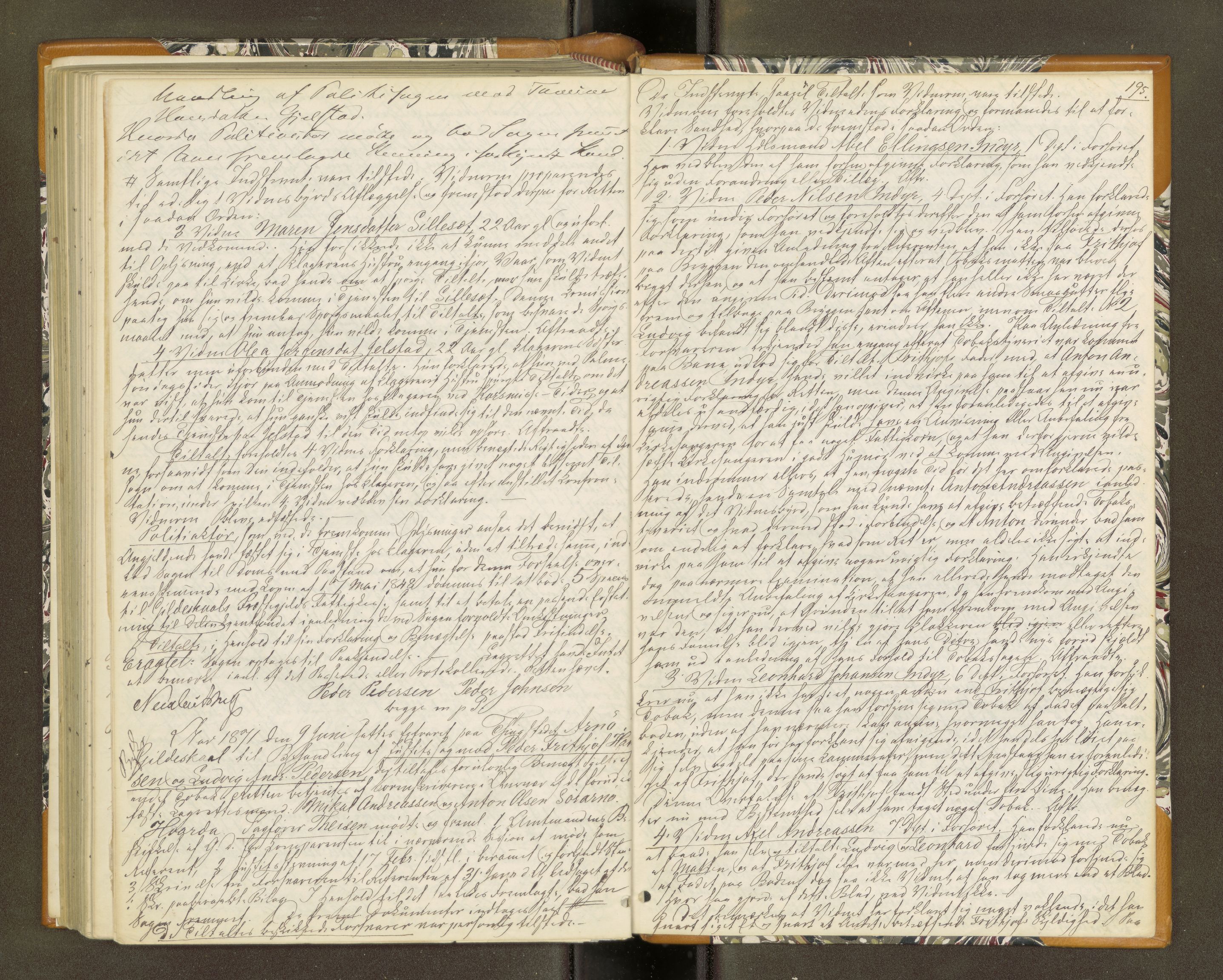 Salten sorenskriveri, AV/SAT-A-4578/1/1/1B/L0016: Ekstrarettsprot. nr. 14, 1865-1871, p. 194b-195a