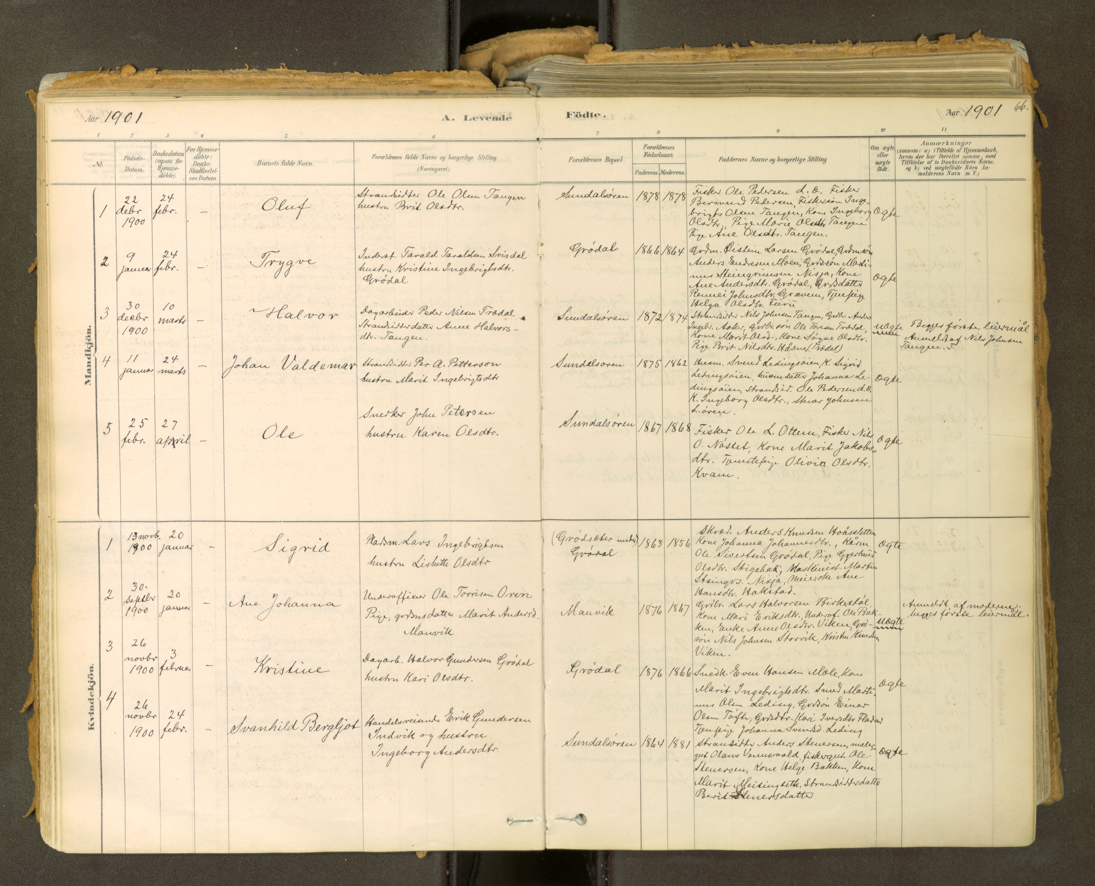 Sunndal sokneprestkontor, SAT/A-1085/1/I/I1/I1a: Parish register (official) no. 2, 1877-1914, p. 66