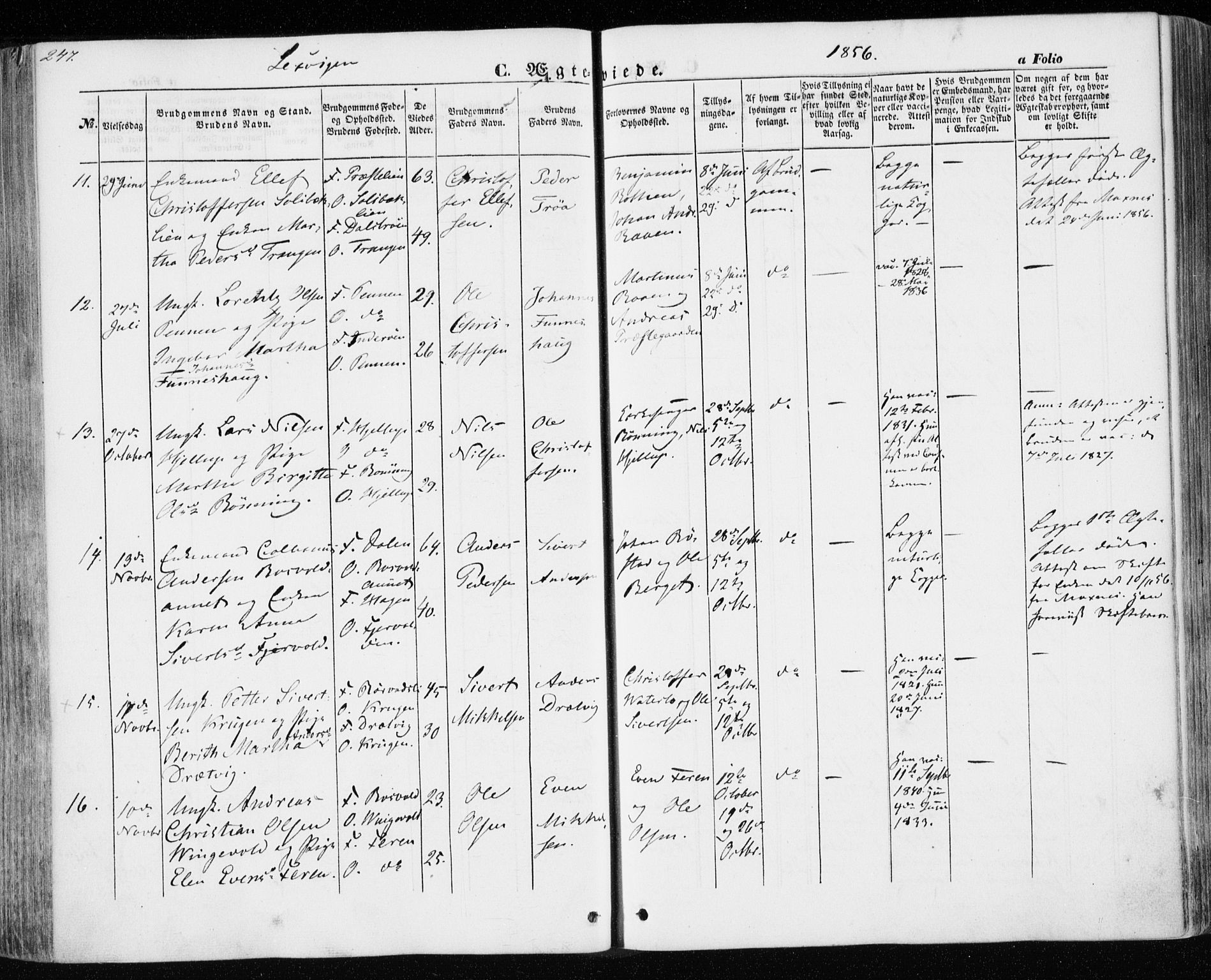 Ministerialprotokoller, klokkerbøker og fødselsregistre - Nord-Trøndelag, SAT/A-1458/701/L0008: Parish register (official) no. 701A08 /1, 1854-1863, p. 247