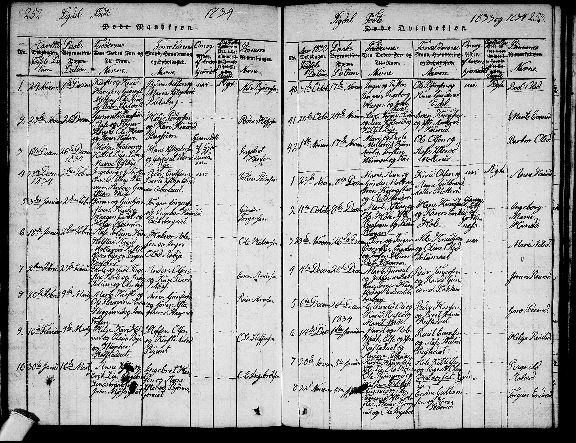 Sigdal kirkebøker, SAKO/A-245/G/Ga/L0001: Parish register (copy) no. I 1 /1, 1816-1835, p. 252-253