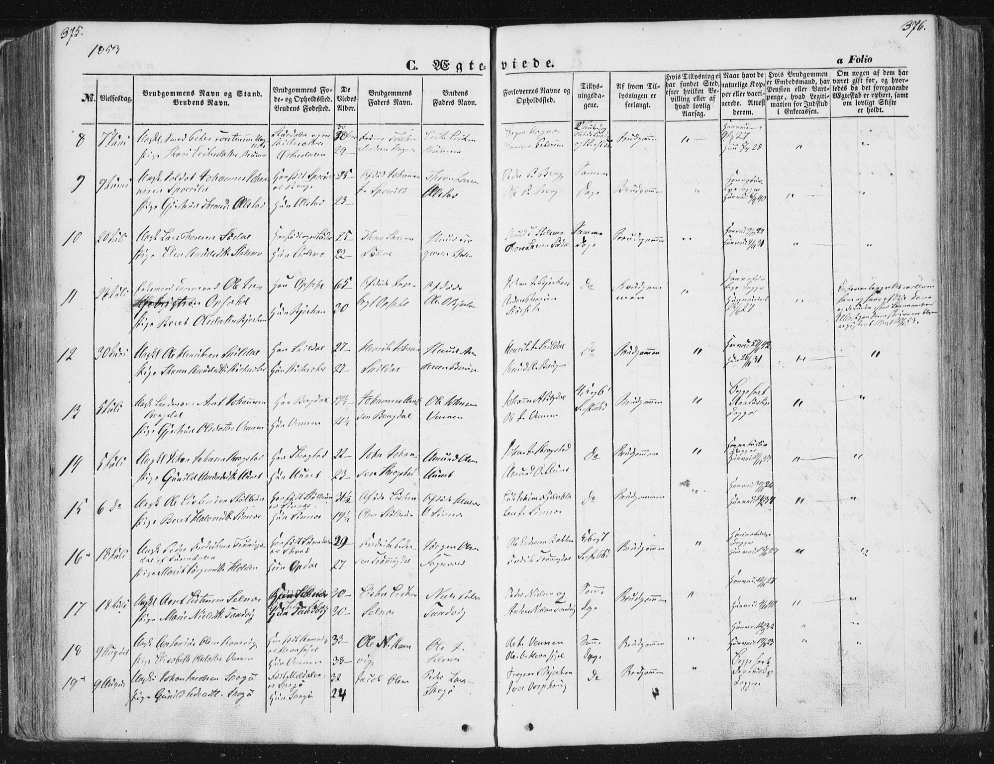 Ministerialprotokoller, klokkerbøker og fødselsregistre - Sør-Trøndelag, AV/SAT-A-1456/630/L0494: Parish register (official) no. 630A07, 1852-1868, p. 375-376