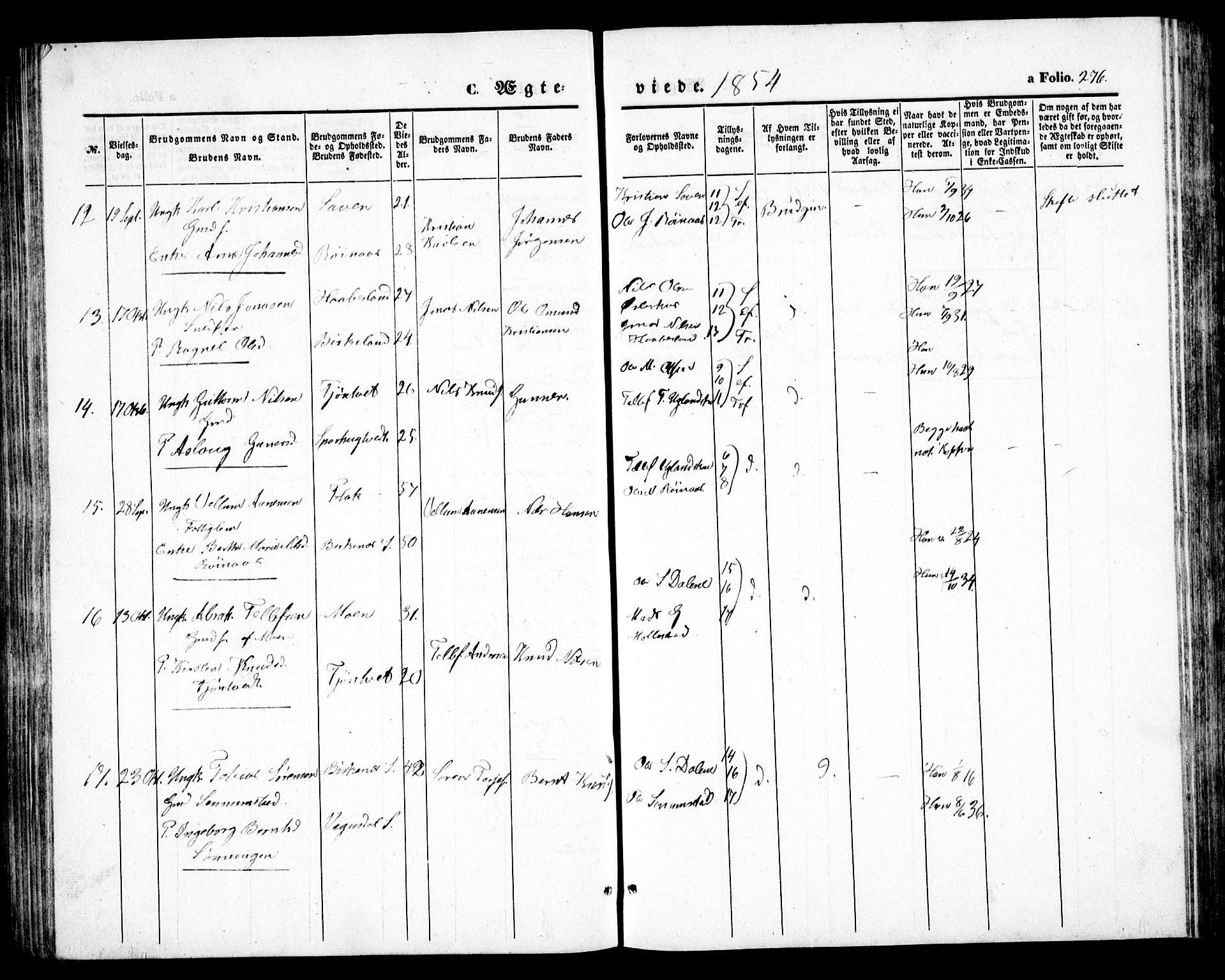 Birkenes sokneprestkontor, AV/SAK-1111-0004/F/Fb/L0002: Parish register (copy) no. B 2, 1849-1876, p. 276