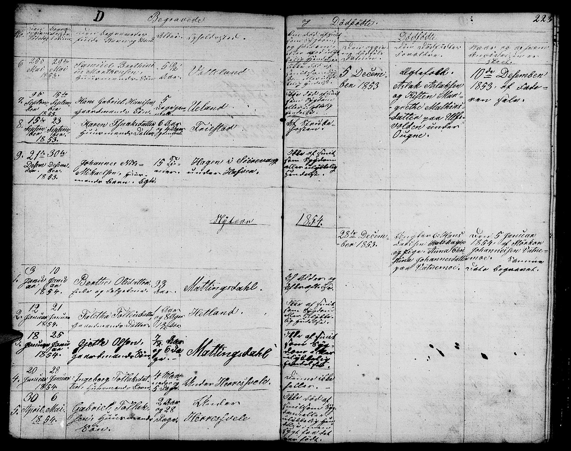 Eigersund sokneprestkontor, SAST/A-101807/S09/L0003: Parish register (copy) no. B 3, 1846-1875, p. 223