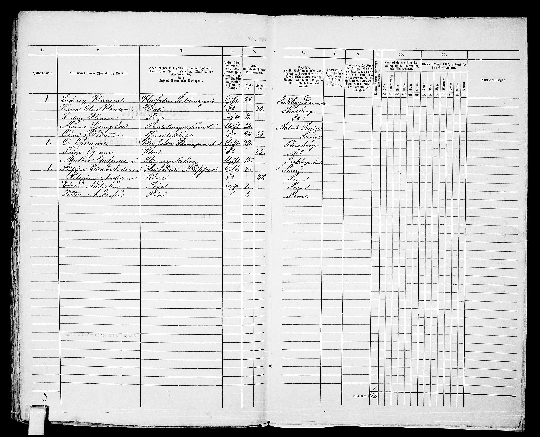 RA, 1865 census for Tønsberg, 1865, p. 361