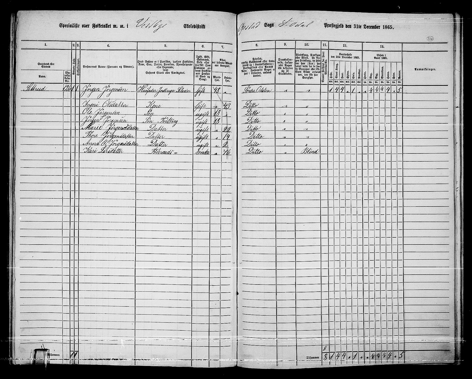 RA, 1865 census for Sør-Odal, 1865, p. 274