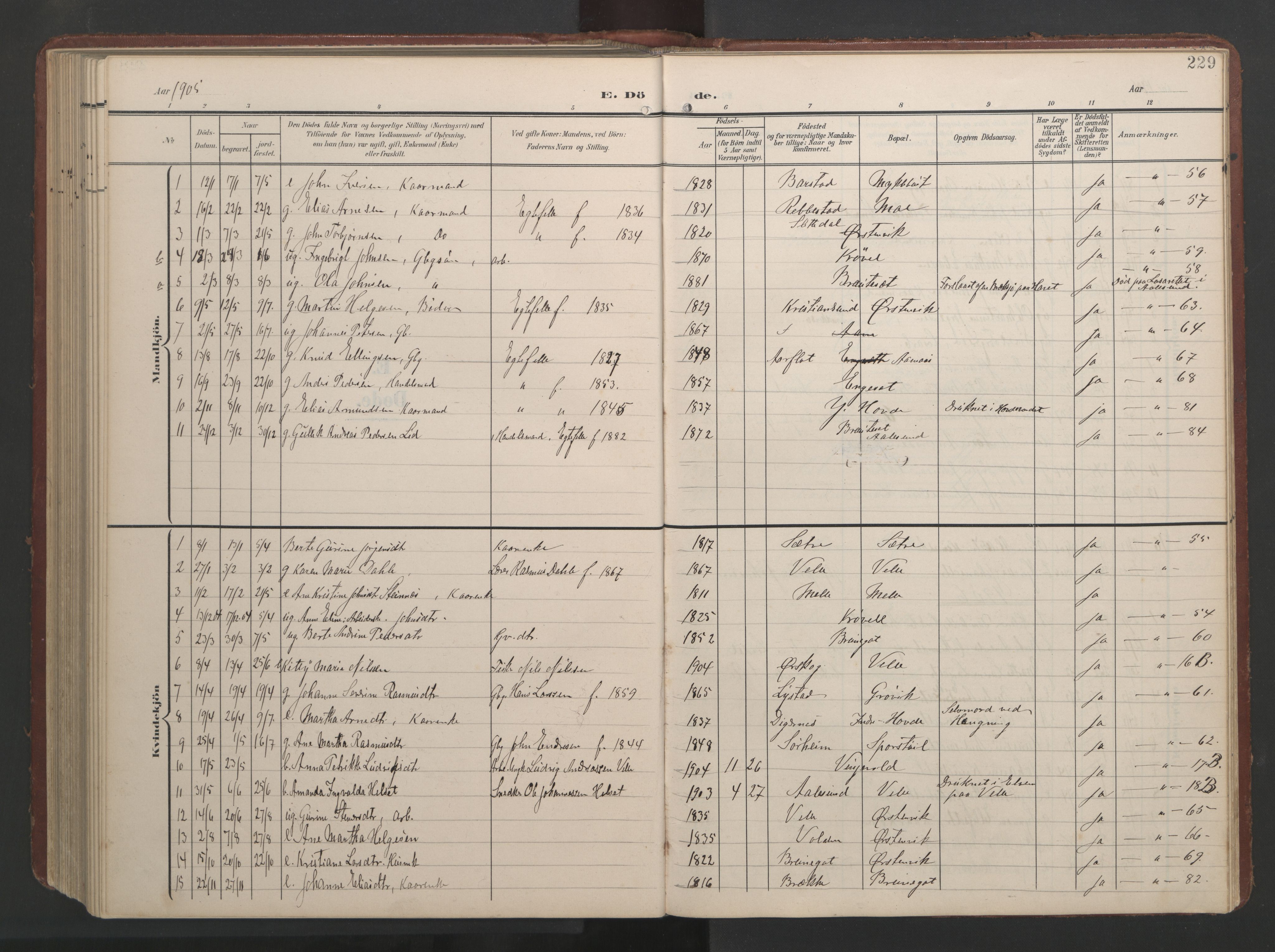 Ministerialprotokoller, klokkerbøker og fødselsregistre - Møre og Romsdal, AV/SAT-A-1454/513/L0190: Parish register (copy) no. 513C04, 1904-1926, p. 229