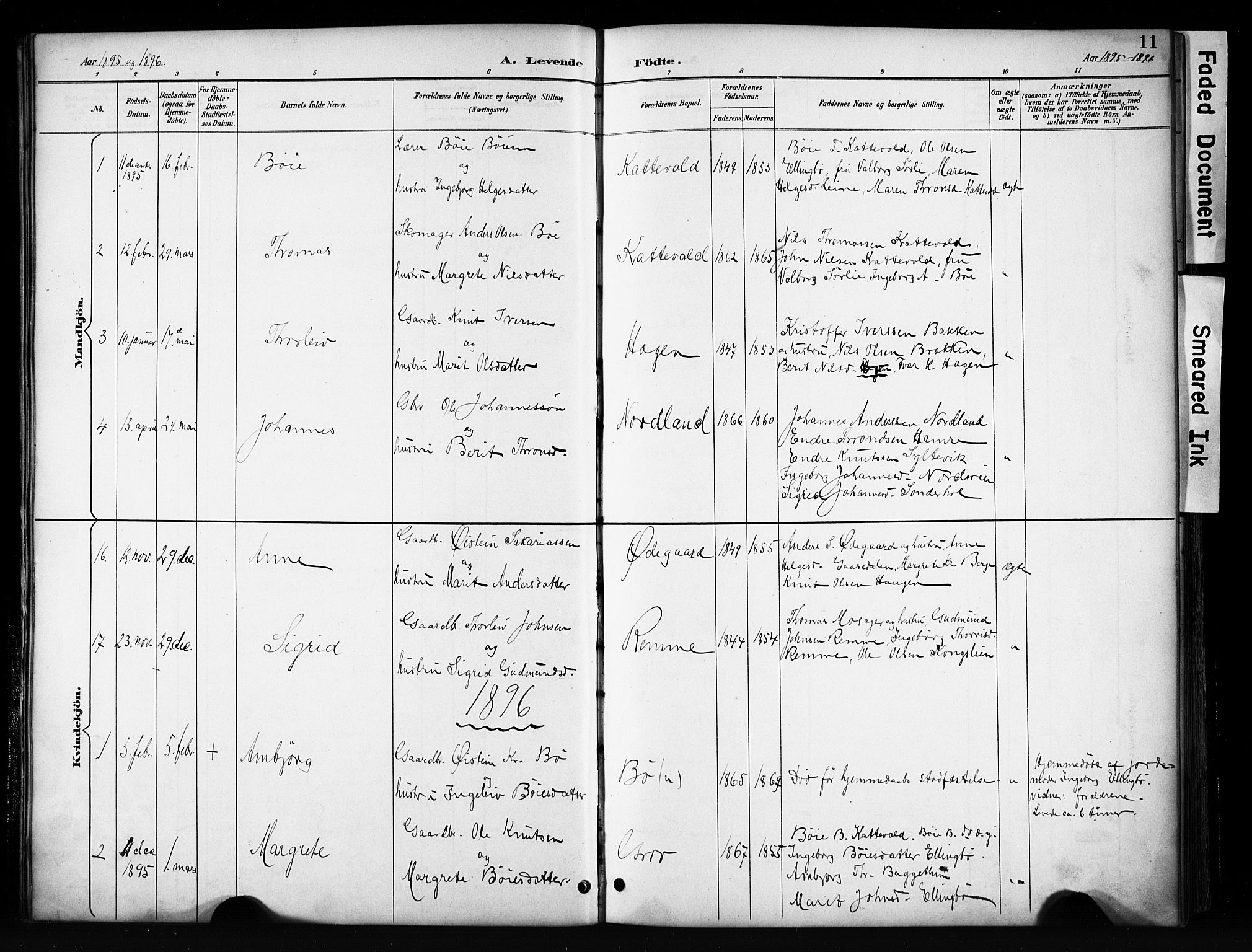 Vang prestekontor, Valdres, SAH/PREST-140/H/Hb/L0006: Parish register (copy) no. 6, 1893-1918, p. 11