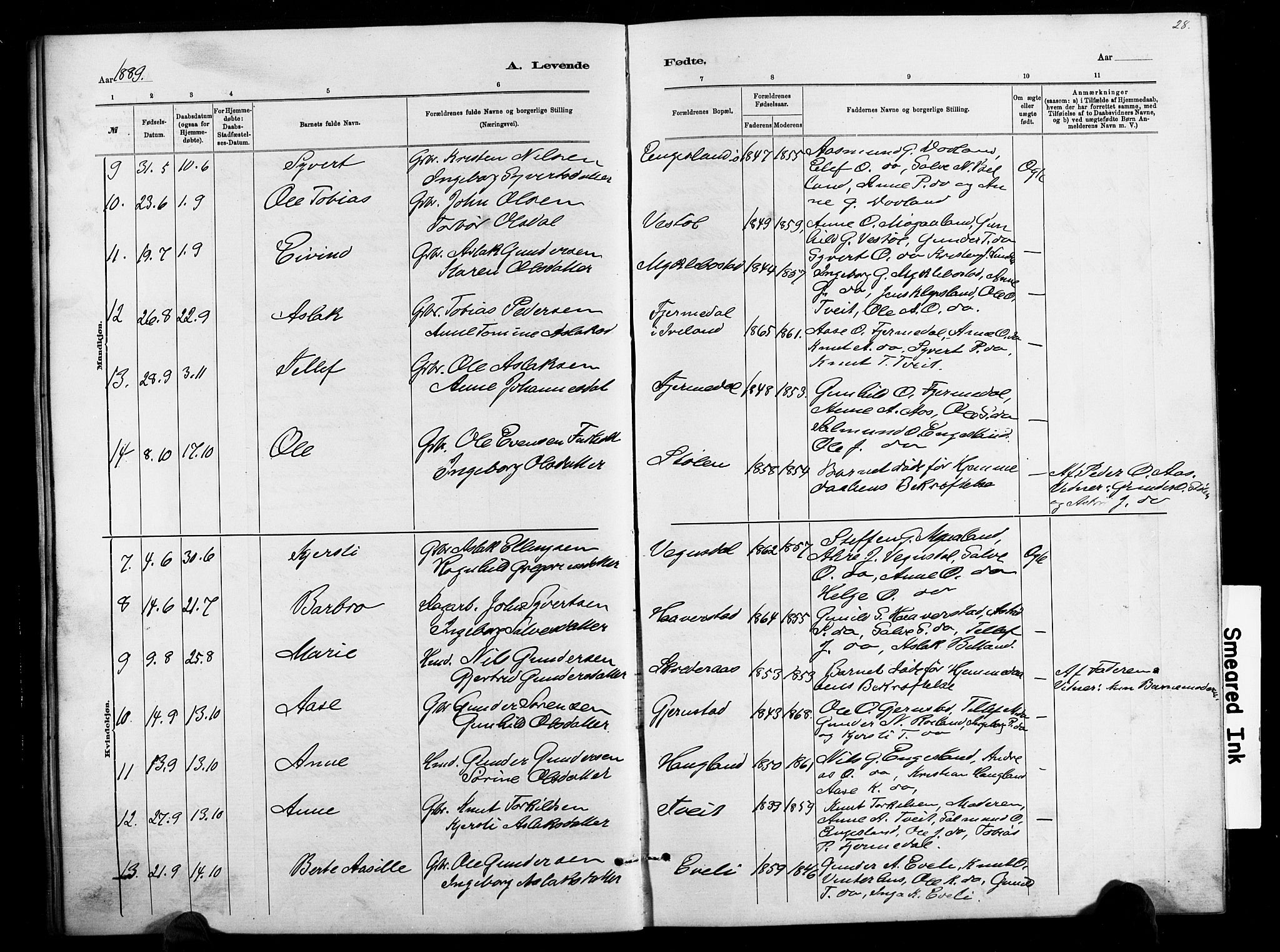 Herefoss sokneprestkontor, AV/SAK-1111-0019/F/Fb/Fbb/L0002: Parish register (copy) no. B 2, 1879-1894, p. 28