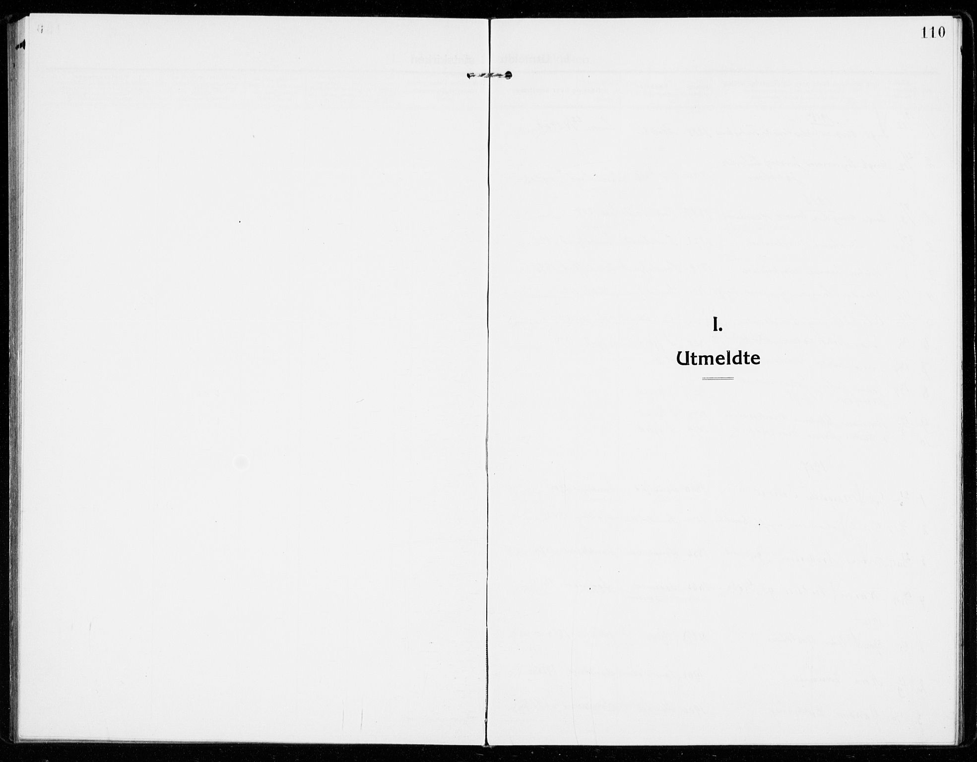 Sandar kirkebøker, SAKO/A-243/F/Fa/L0020: Parish register (official) no. 20, 1915-1919, p. 110