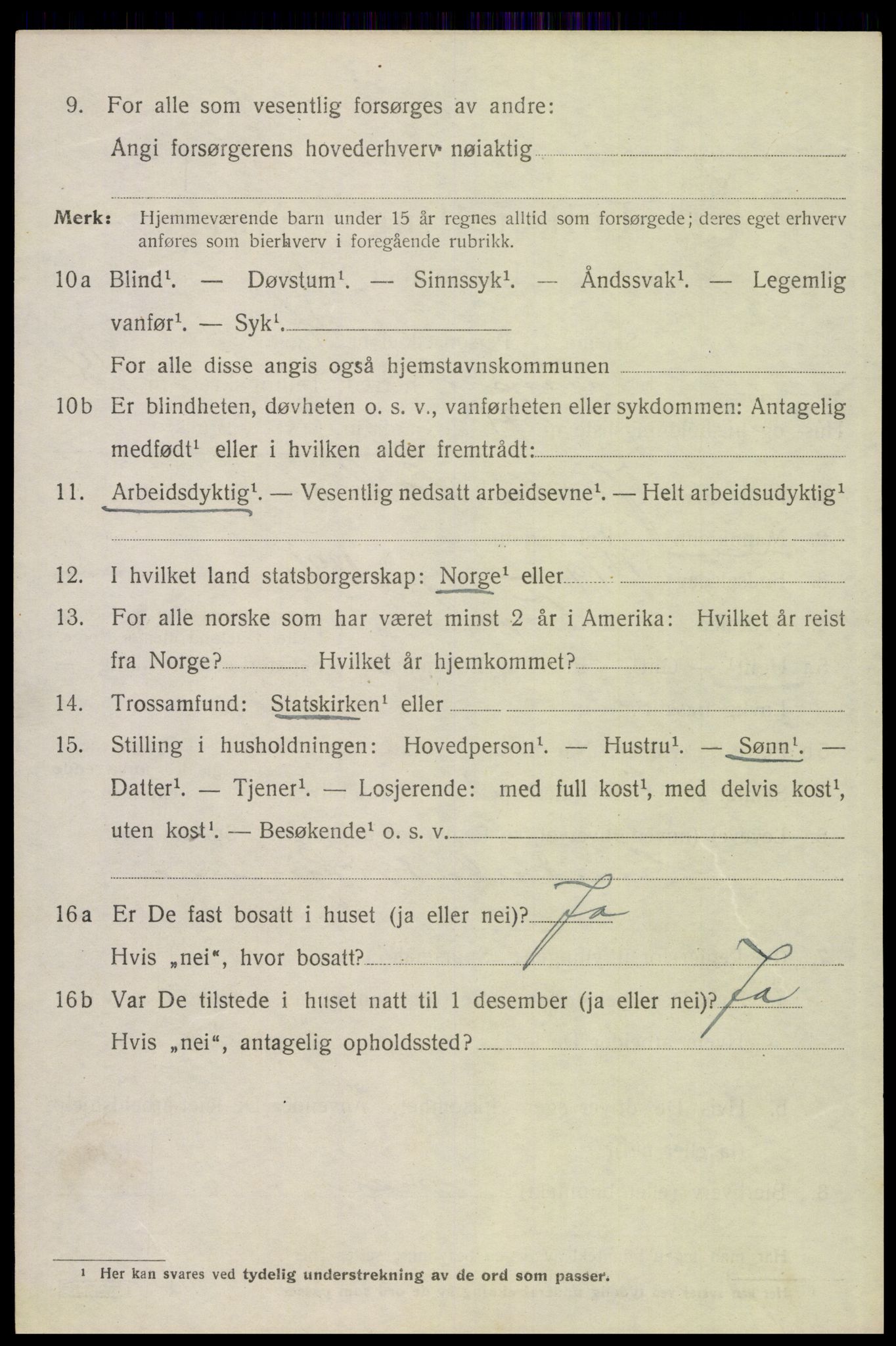 SAH, 1920 census for Trysil, 1920, p. 12624