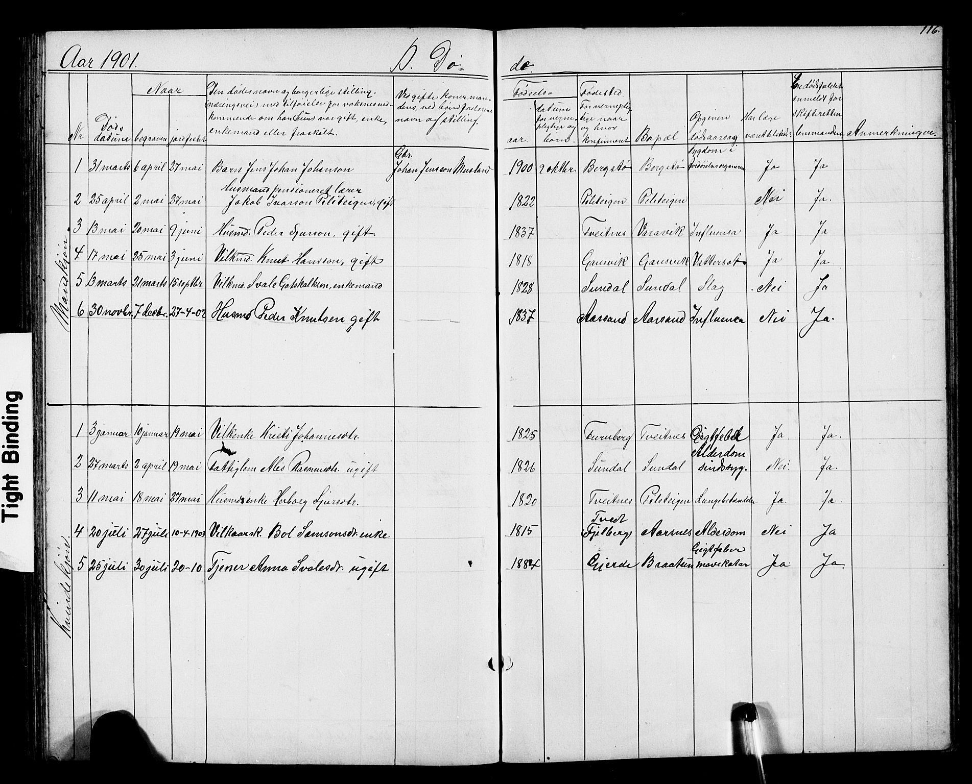 Kvinnherad sokneprestembete, SAB/A-76401/H/Hab: Parish register (copy) no. D 1, 1856-1905, p. 116