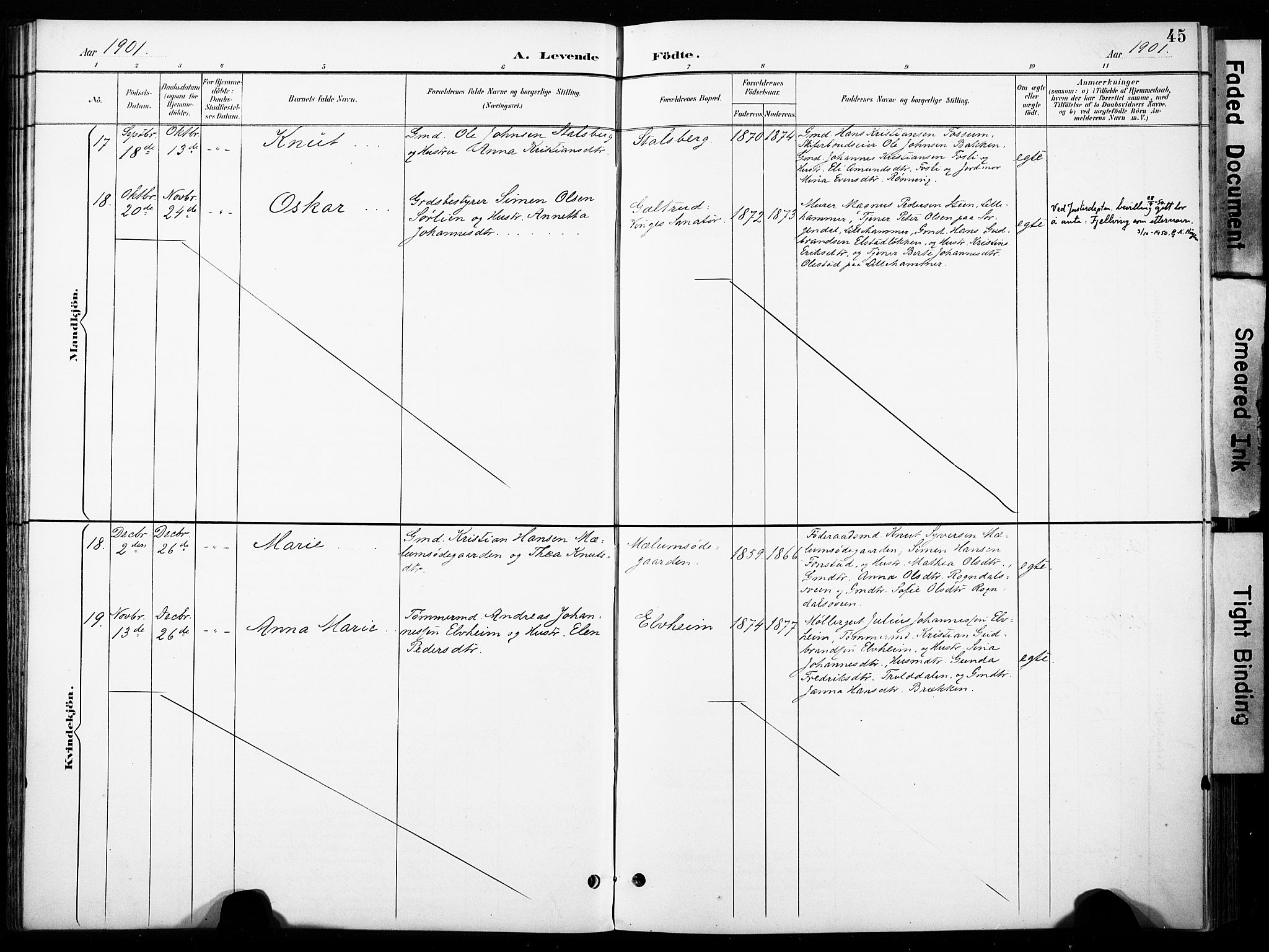 Øyer prestekontor, AV/SAH-PREST-084/H/Ha/Haa/L0011: Parish register (official) no. 11, 1894-1905, p. 45