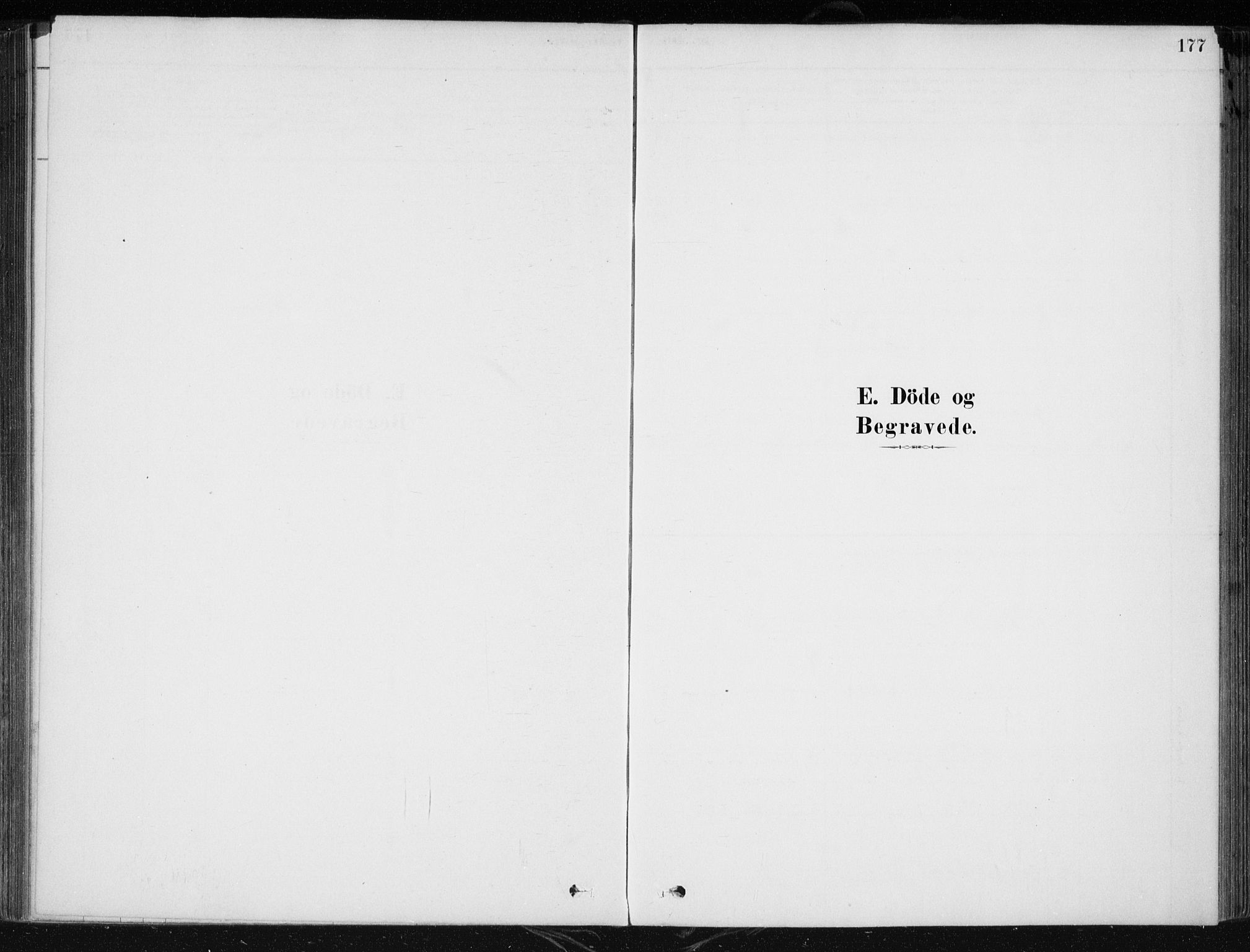 Krødsherad kirkebøker, SAKO/A-19/F/Fa/L0005: Parish register (official) no. 5, 1879-1888, p. 177