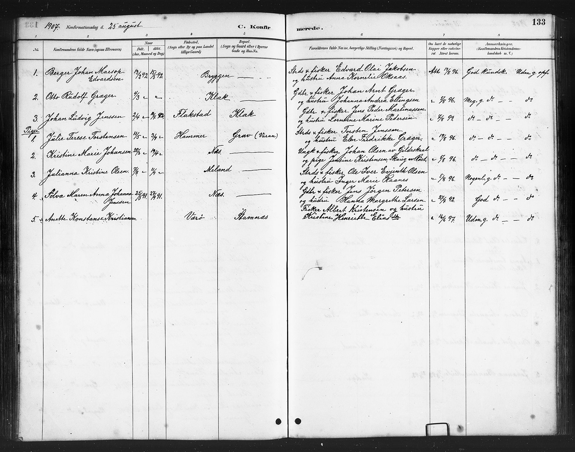 Ministerialprotokoller, klokkerbøker og fødselsregistre - Nordland, AV/SAT-A-1459/808/L0131: Parish register (copy) no. 808C02, 1879-1919, p. 133