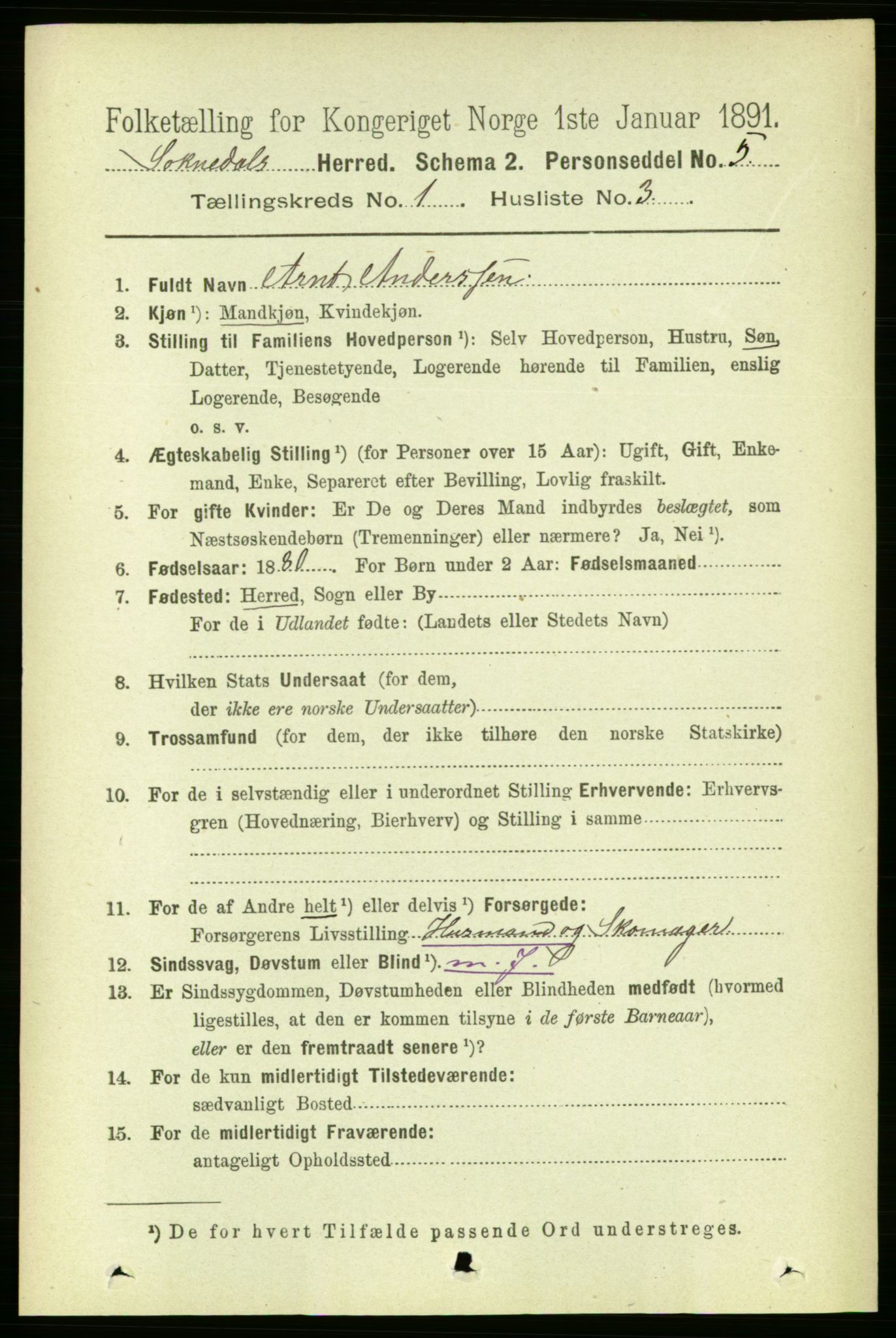 RA, 1891 census for 1649 Soknedal, 1891, p. 90