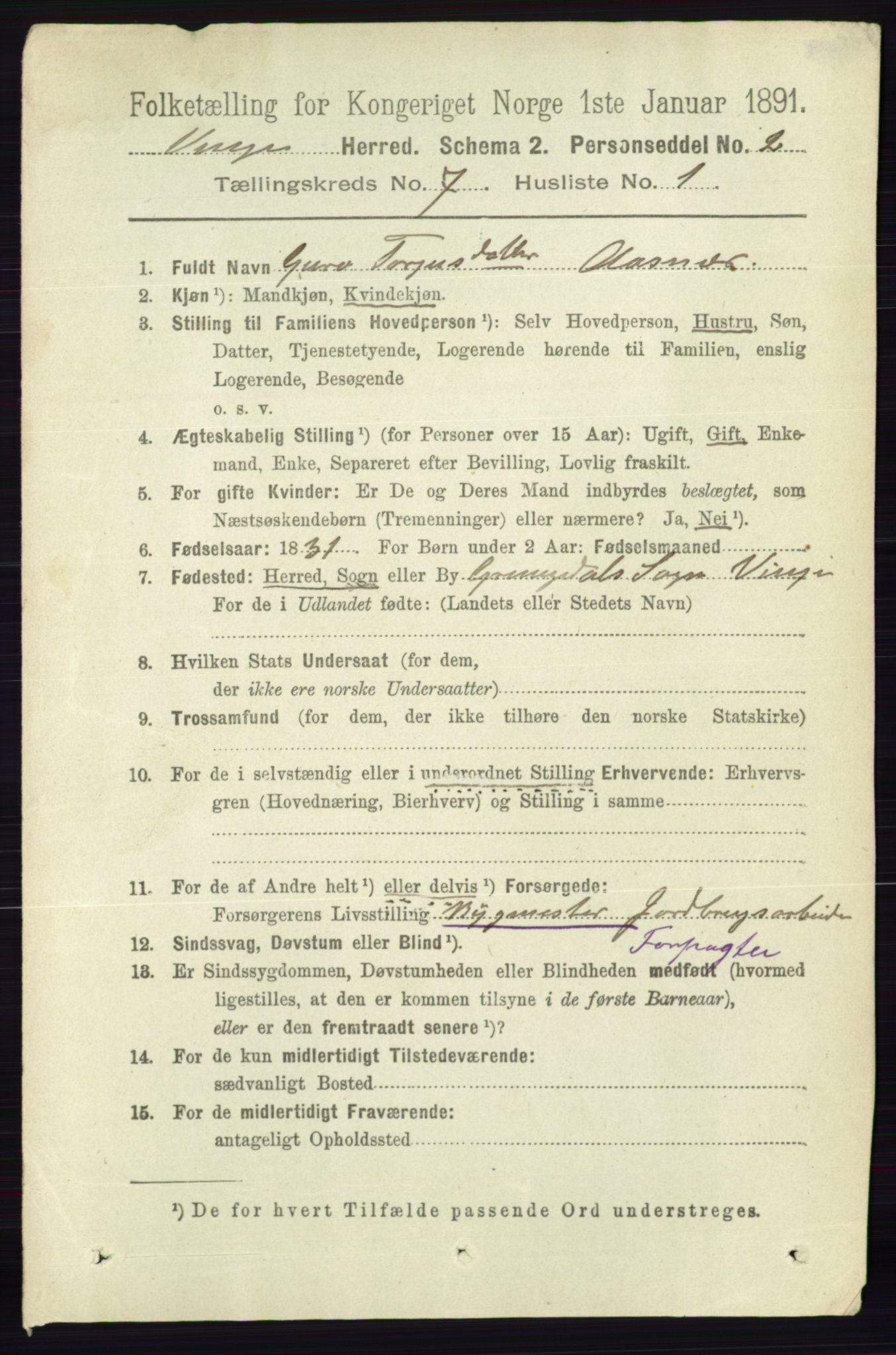 RA, 1891 census for 0834 Vinje, 1891, p. 1801