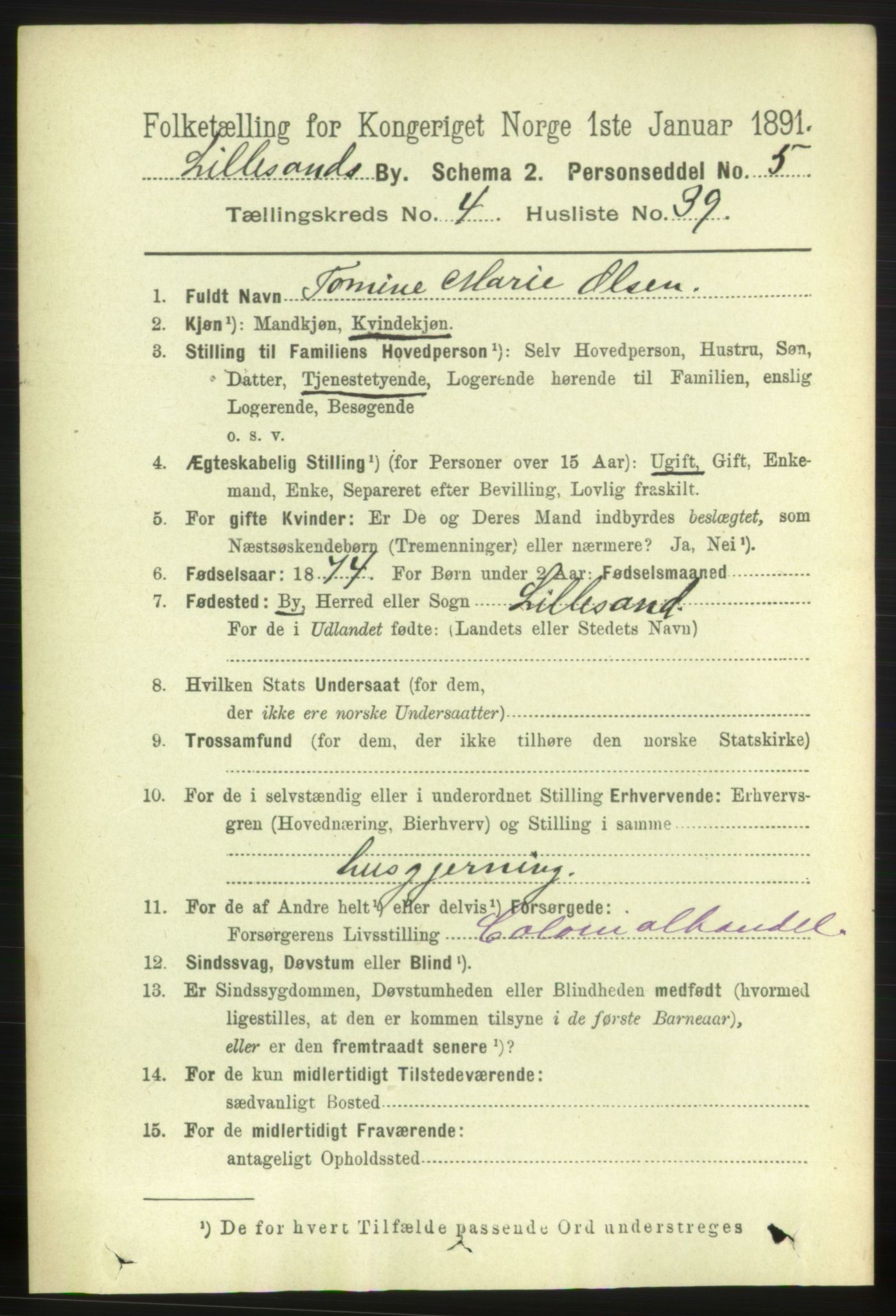 RA, 1891 census for 0905 Lillesand, 1891, p. 1373