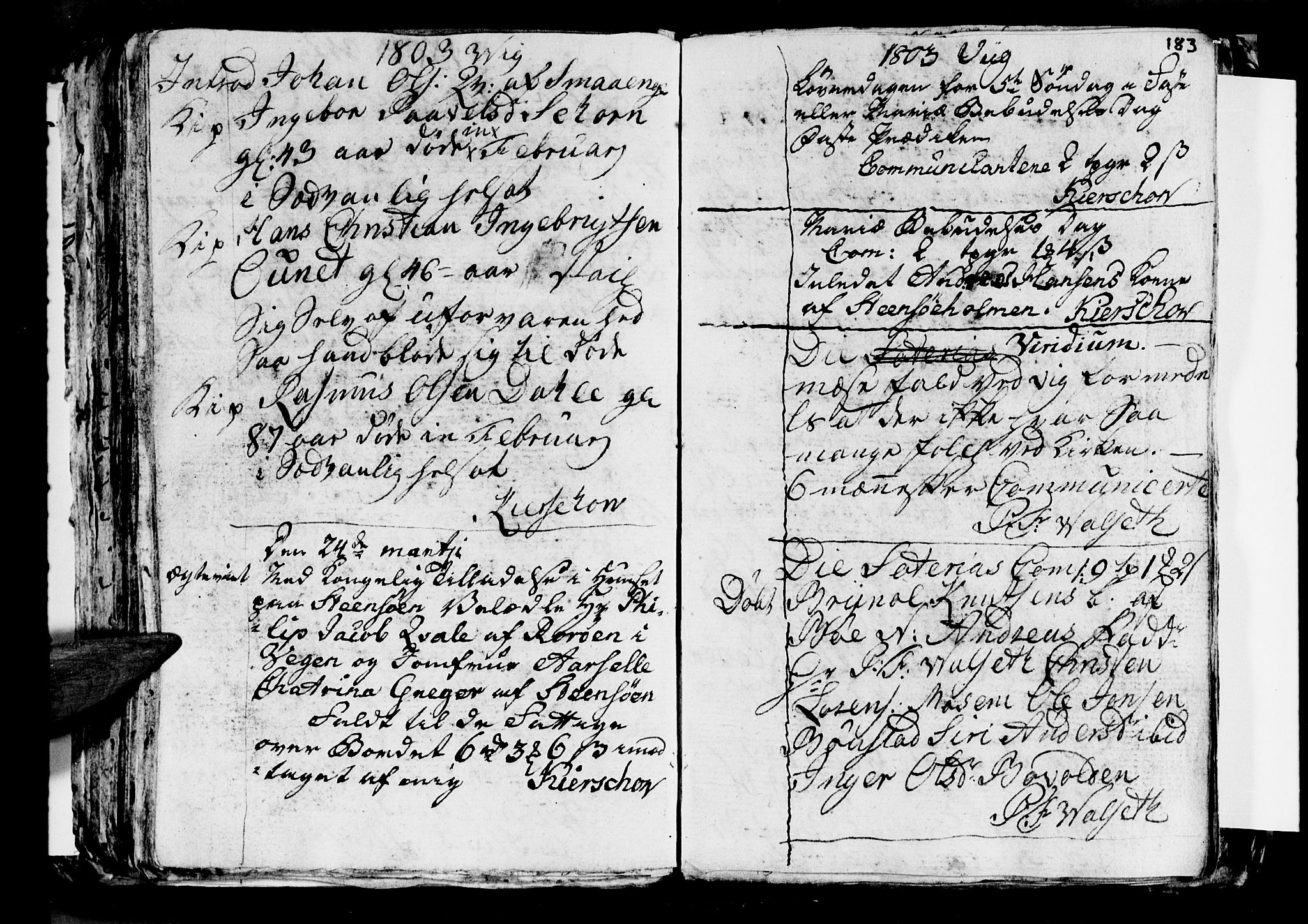 Ministerialprotokoller, klokkerbøker og fødselsregistre - Nordland, AV/SAT-A-1459/812/L0184: Parish register (copy) no. 812C02, 1793-1809, p. 183