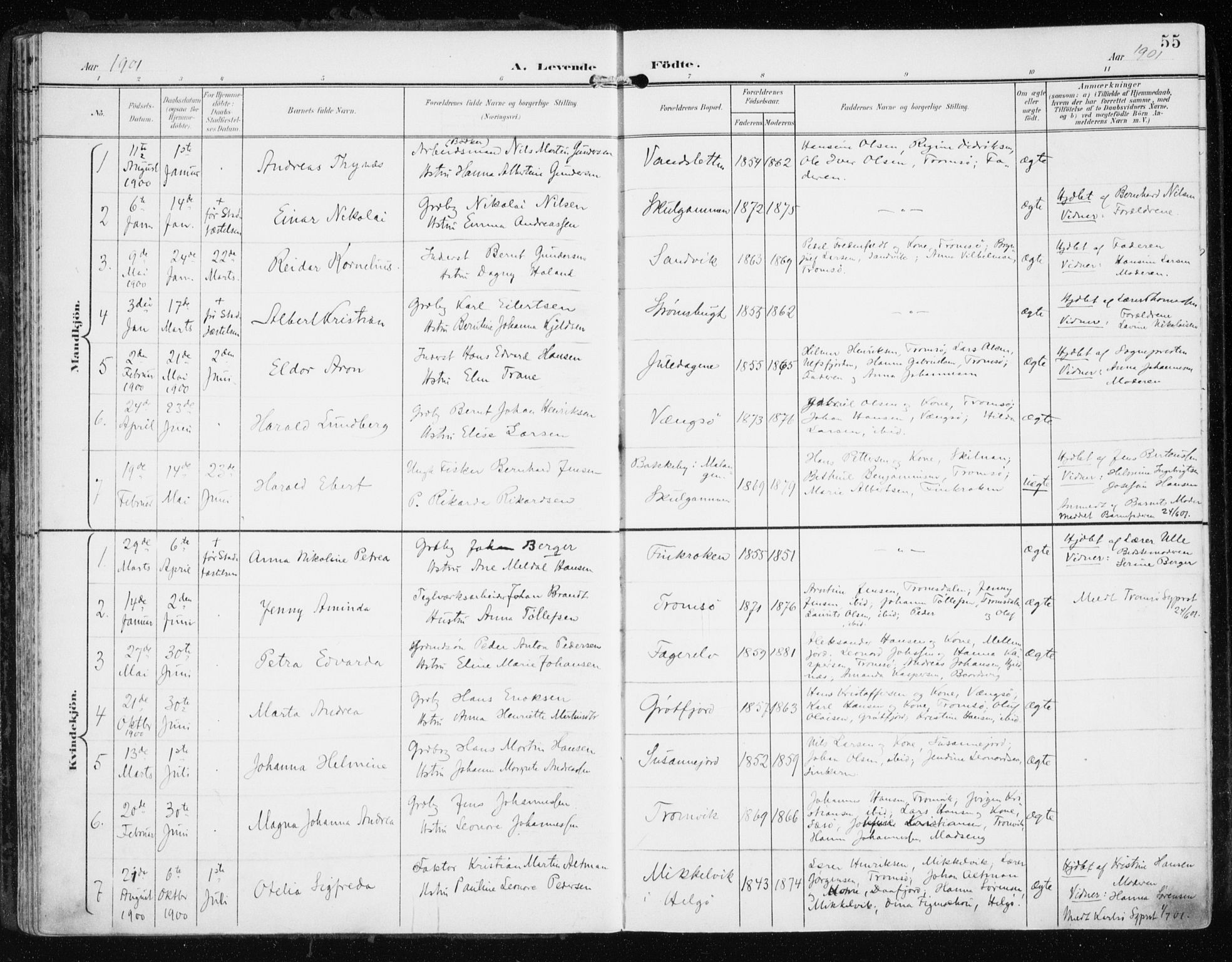 Tromsøysund sokneprestkontor, AV/SATØ-S-1304/G/Ga/L0006kirke: Parish register (official) no. 6, 1897-1906, p. 55