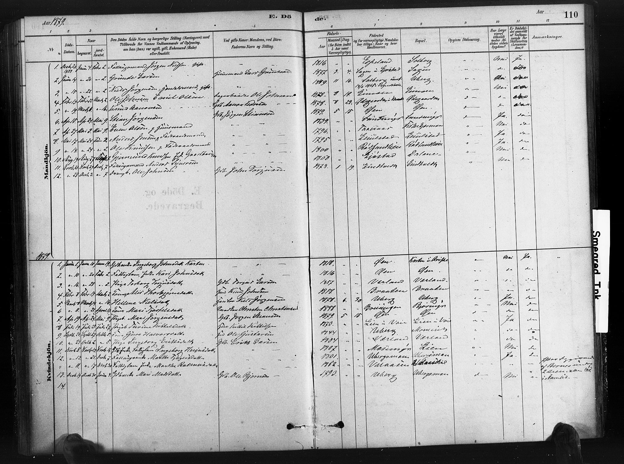 Gjerstad sokneprestkontor, AV/SAK-1111-0014/F/Fa/Fab/L0004: Parish register (official) no. A 4, 1879-1890, p. 110