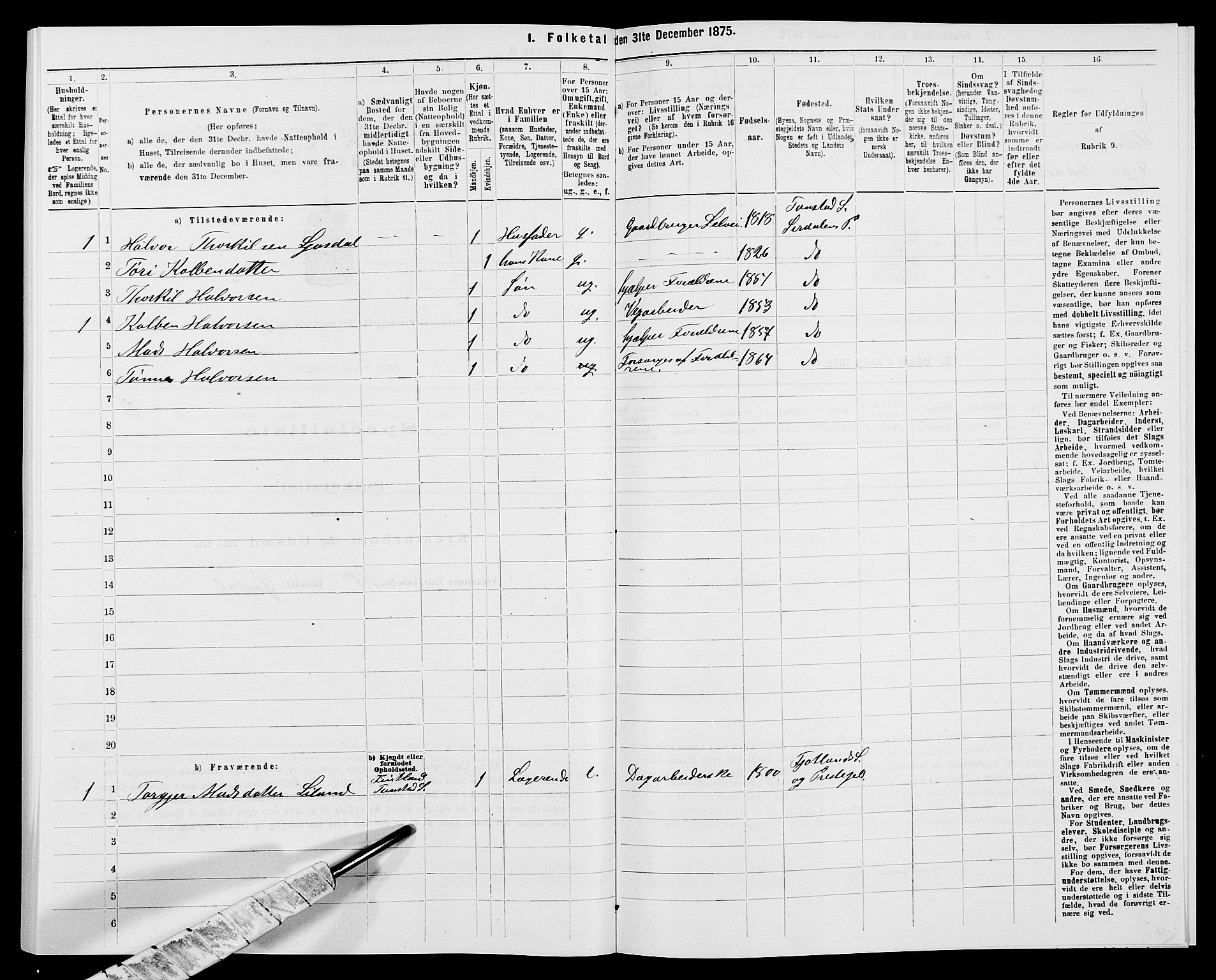 SAK, 1875 census for 1046P Sirdal, 1875, p. 396