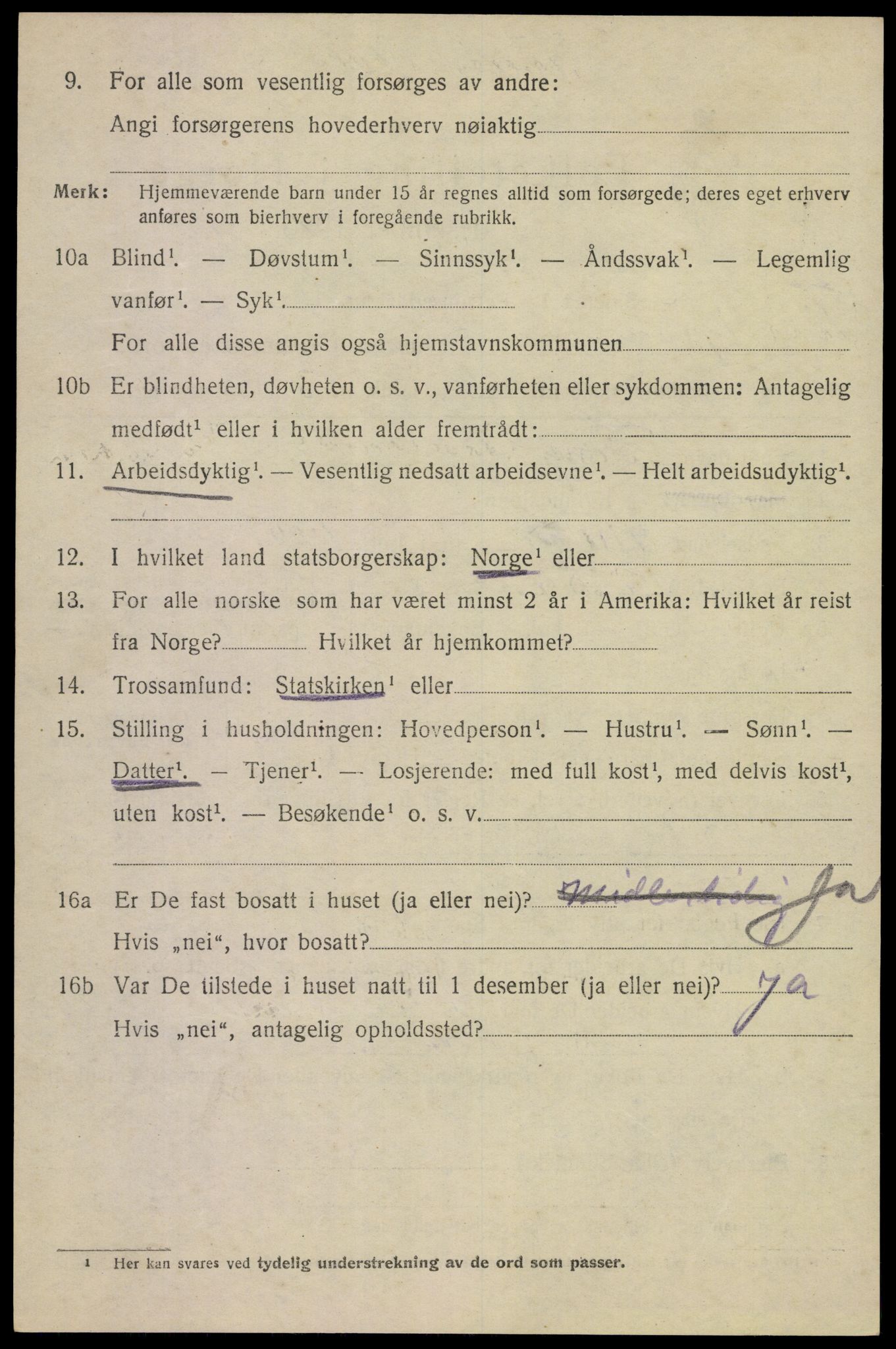 SAKO, 1920 census for Tinn, 1920, p. 10033