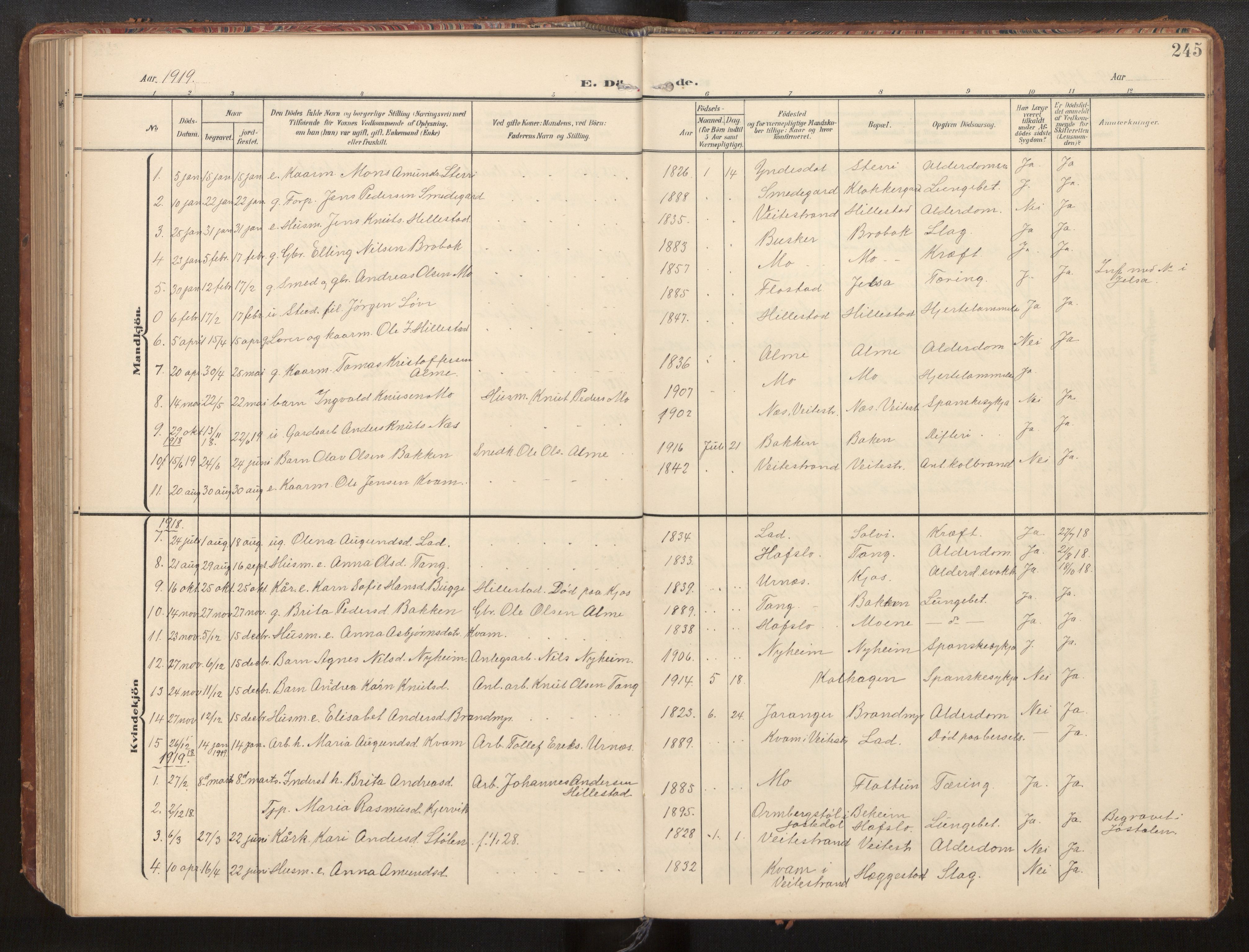 Hafslo sokneprestembete, SAB/A-80301/H/Hab/Habb/L0002: Parish register (copy) no. B 2, 1909-1947, p. 245
