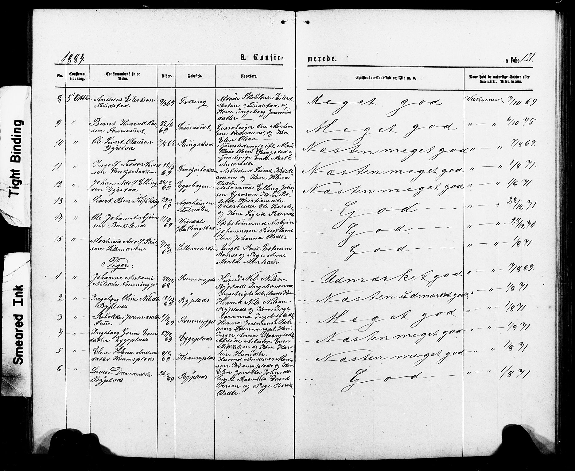 Ministerialprotokoller, klokkerbøker og fødselsregistre - Nord-Trøndelag, SAT/A-1458/740/L0380: Parish register (copy) no. 740C01, 1868-1902, p. 121