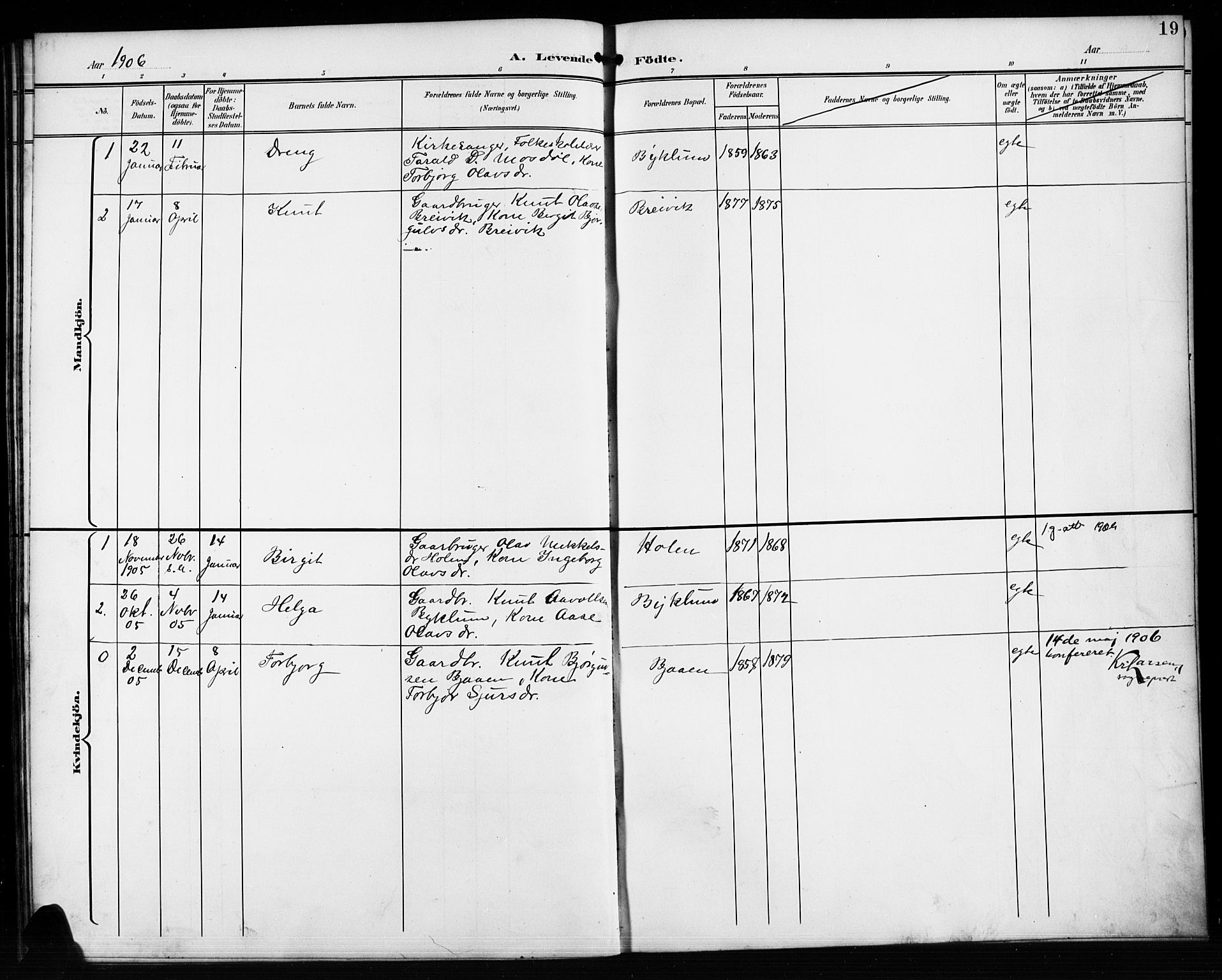 Valle sokneprestkontor, AV/SAK-1111-0044/F/Fb/Fba/L0003: Parish register (copy) no. B 3, 1895-1916, p. 19