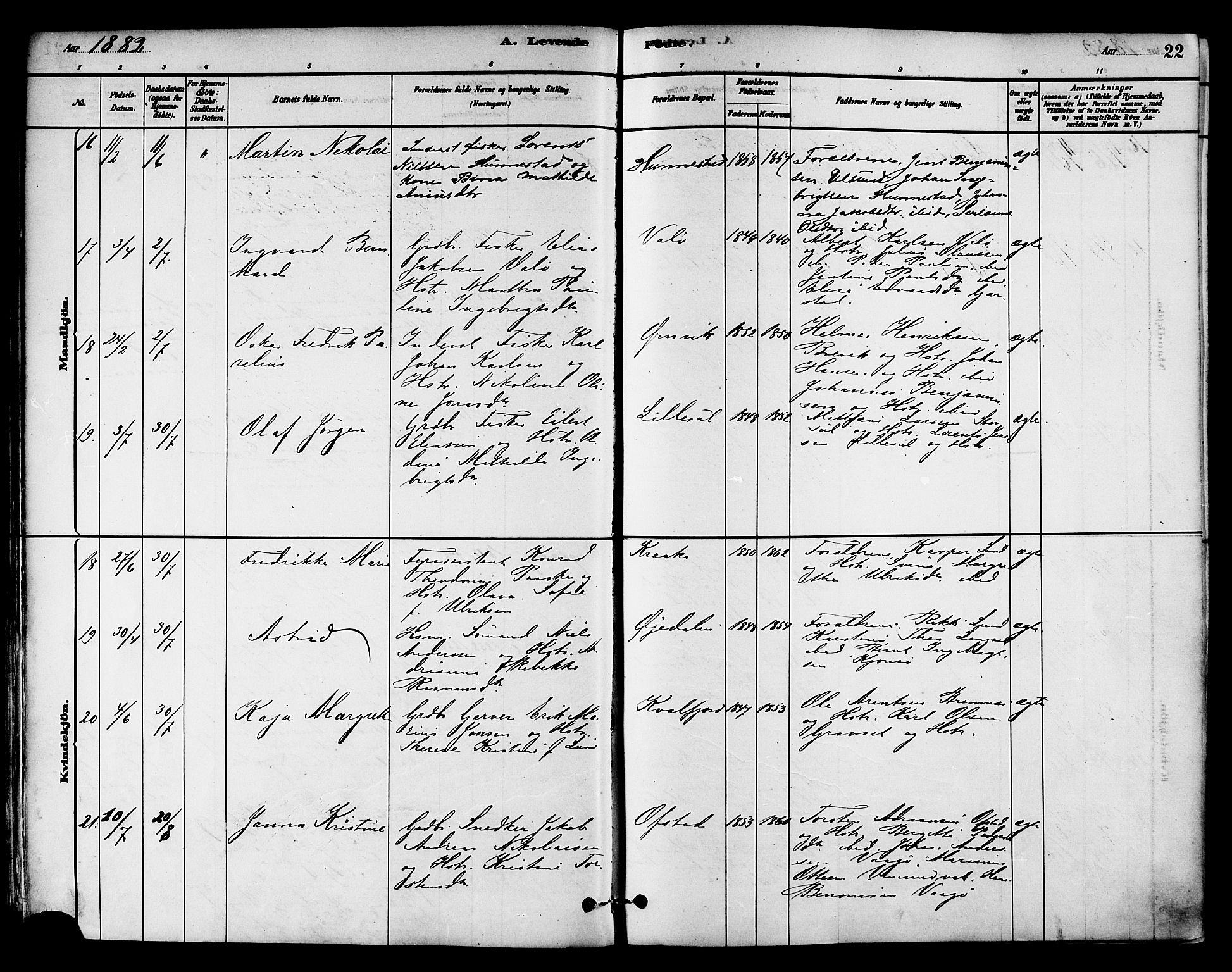 Ministerialprotokoller, klokkerbøker og fødselsregistre - Nord-Trøndelag, AV/SAT-A-1458/786/L0686: Parish register (official) no. 786A02, 1880-1887, p. 22