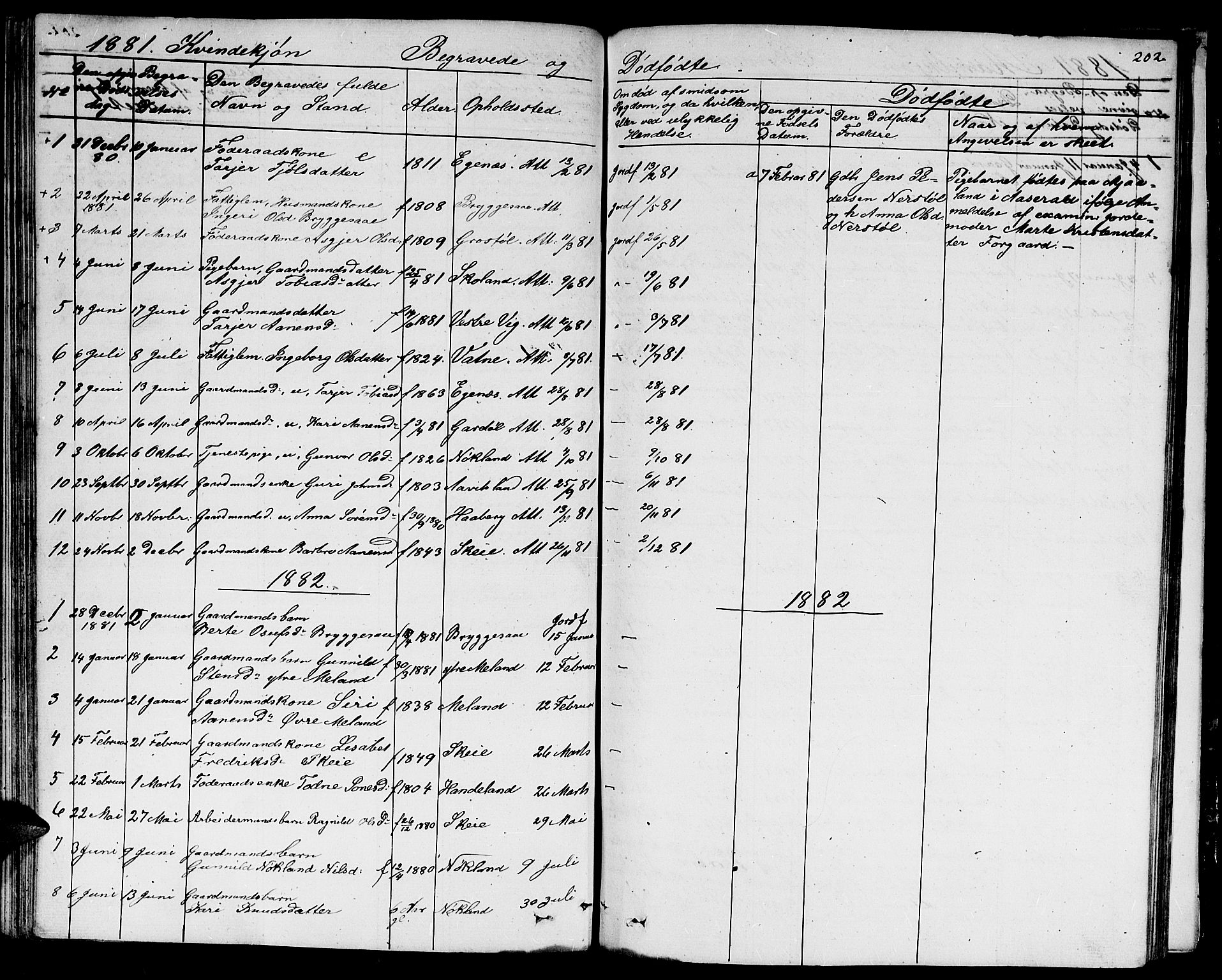 Hægebostad sokneprestkontor, AV/SAK-1111-0024/F/Fb/Fbb/L0002: Parish register (copy) no. B 2, 1851-1886, p. 202